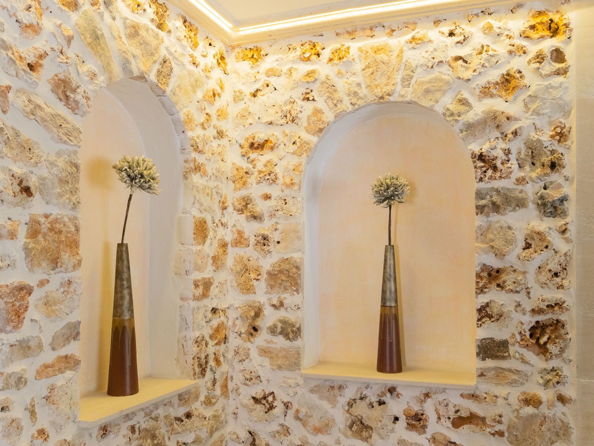 Jardi-Image-tags.info