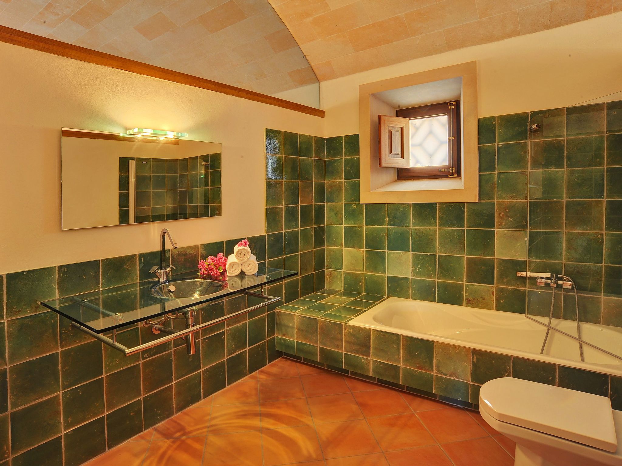 Moli-Image-tags.info