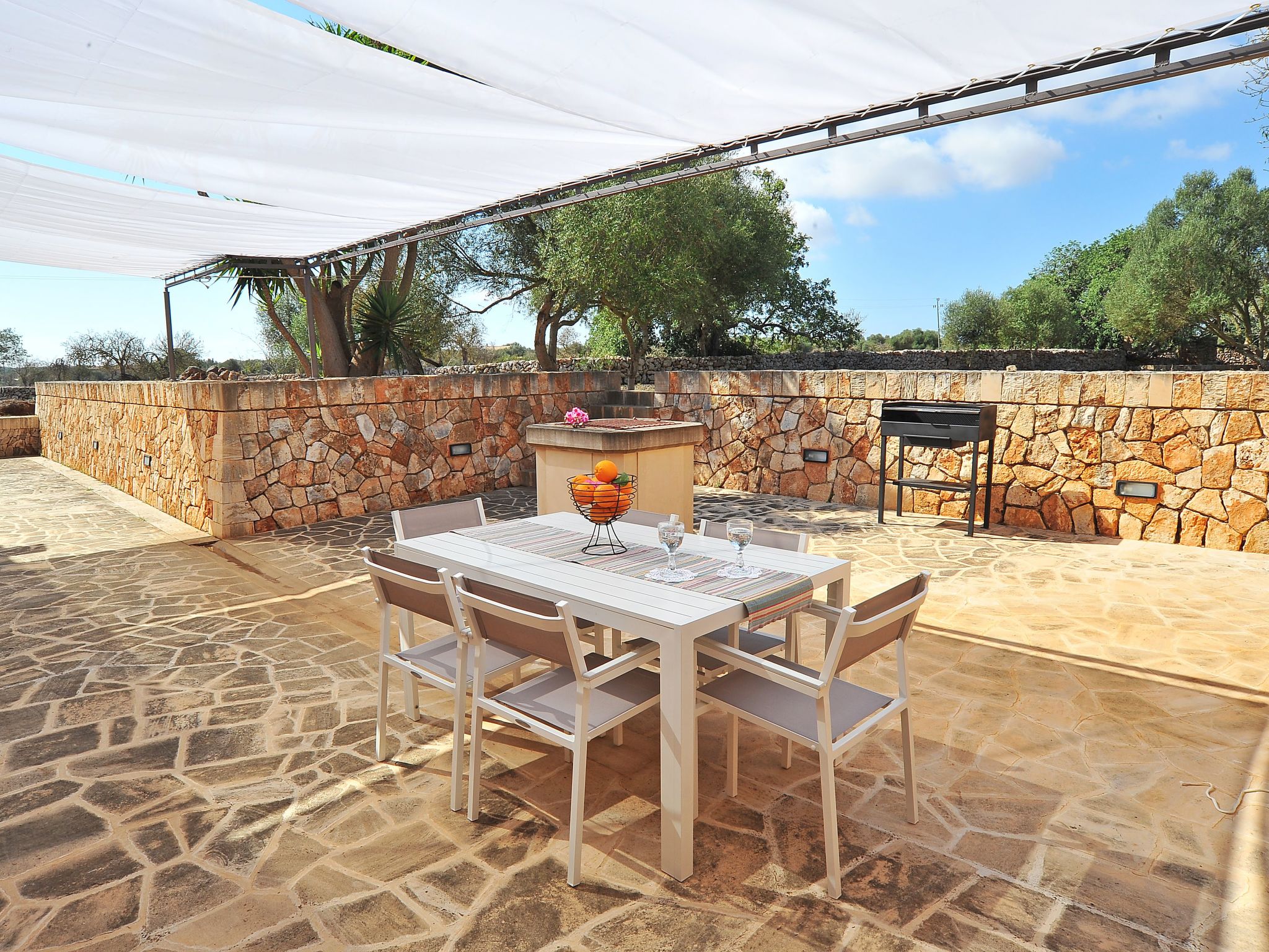 Moli-Image-tags.info