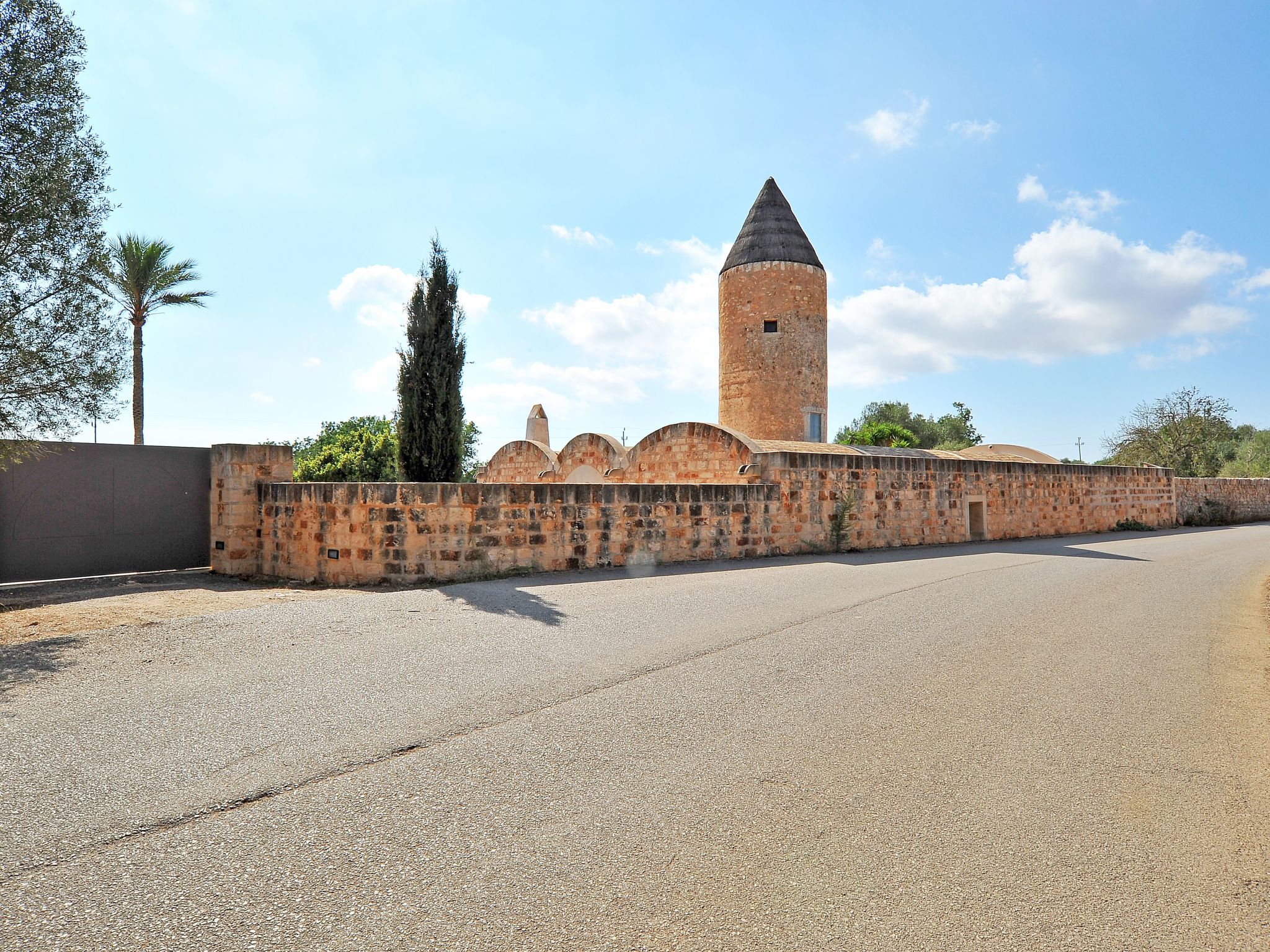 Moli-Image-tags.info