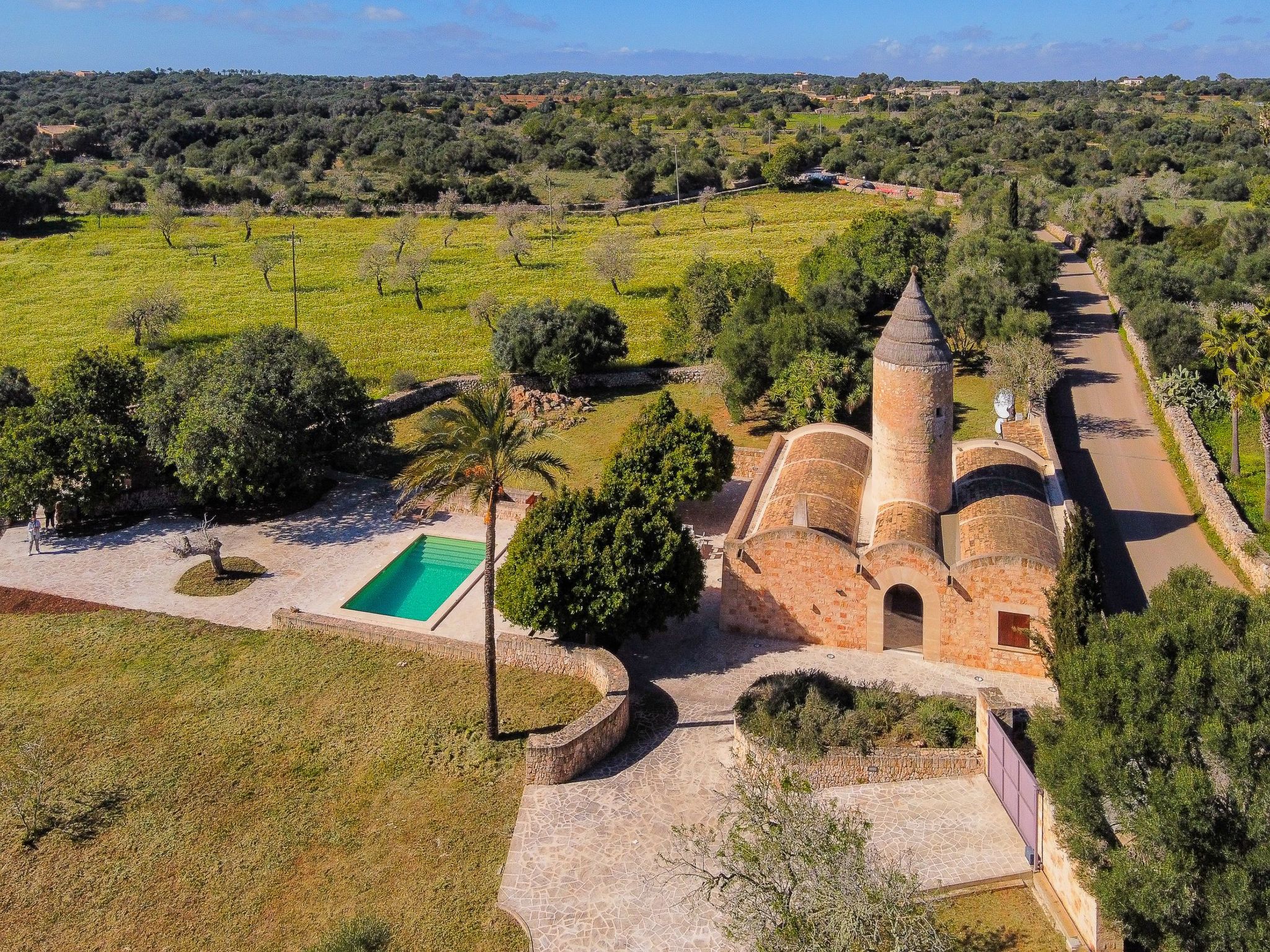 Moli-Image-tags.info