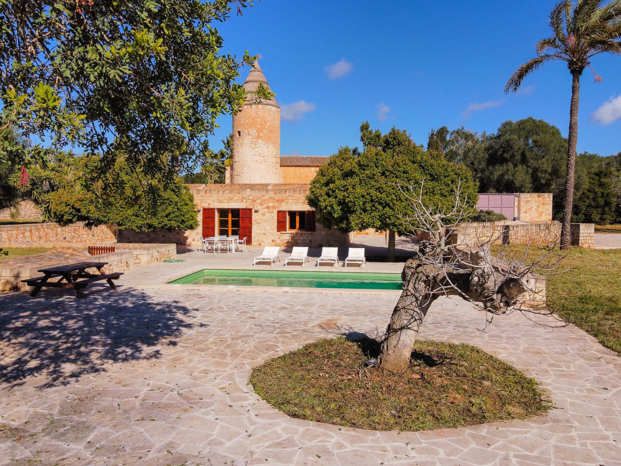 Moli-Image-tags.info