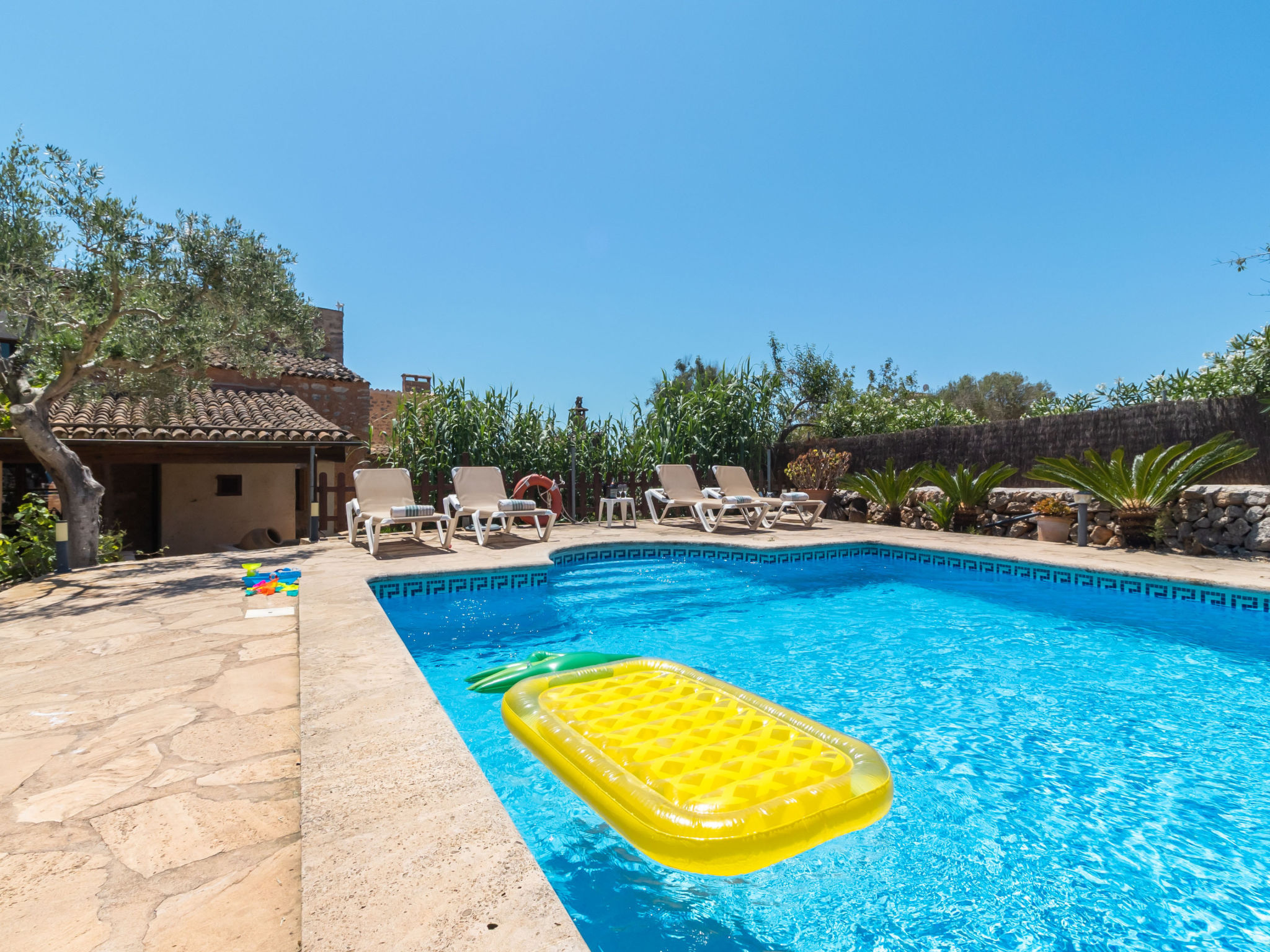Finca Can Nin
