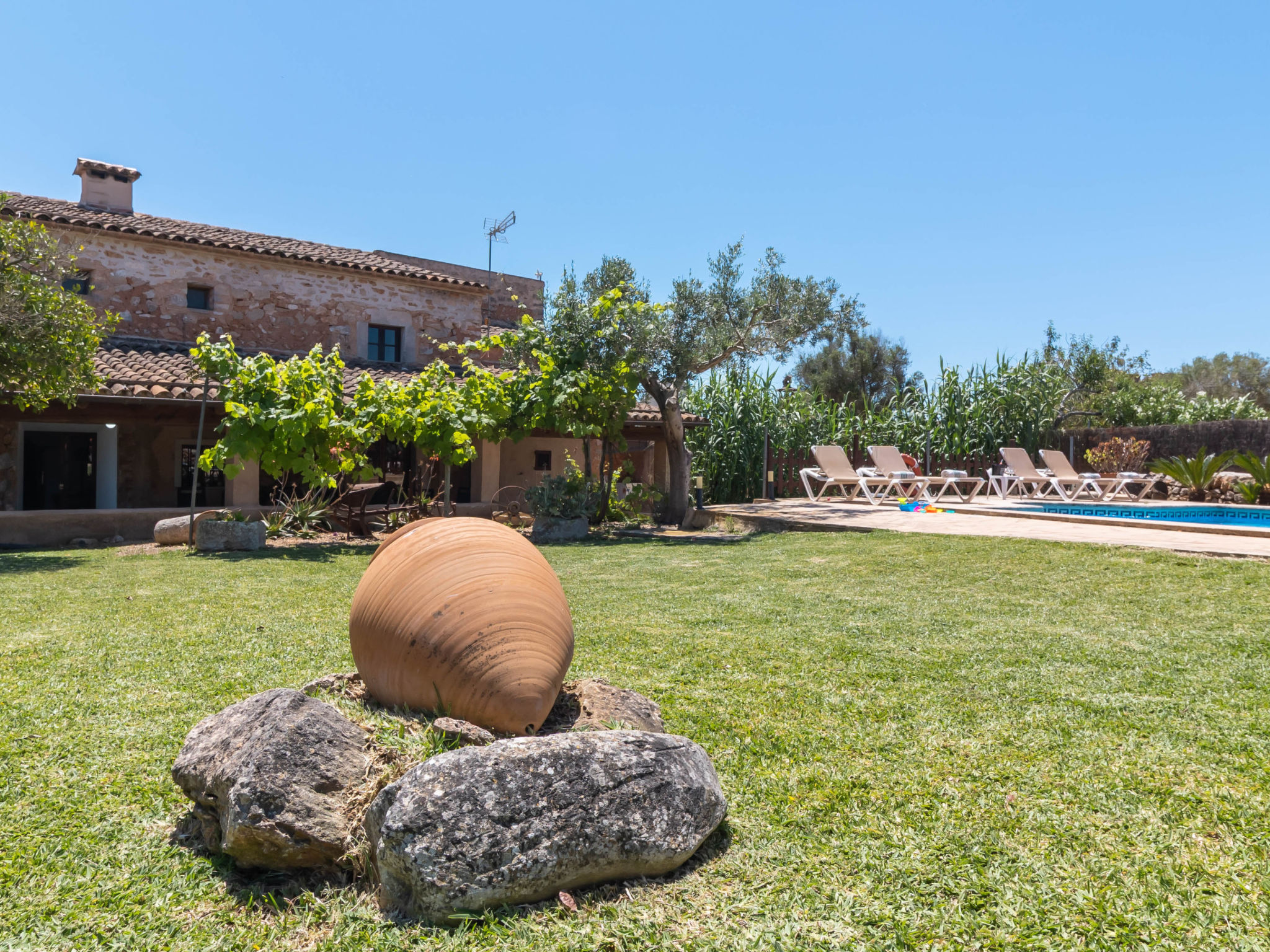 Finca Can Nin - Buiten
