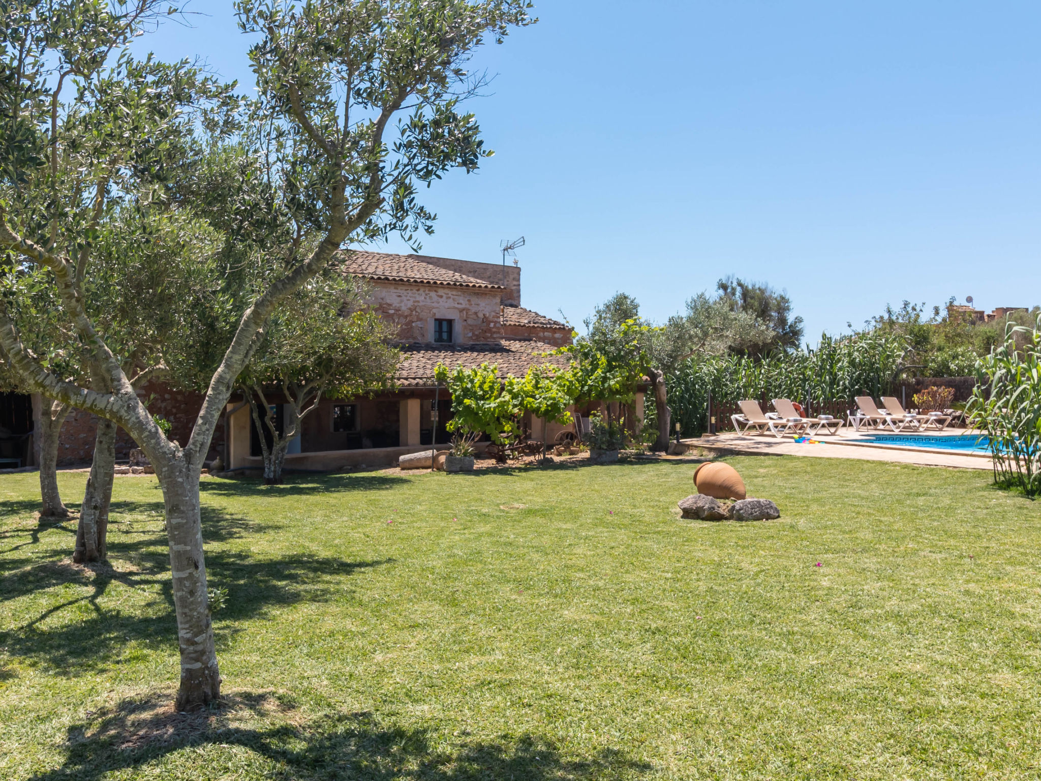 Finca Can Nin - Buiten