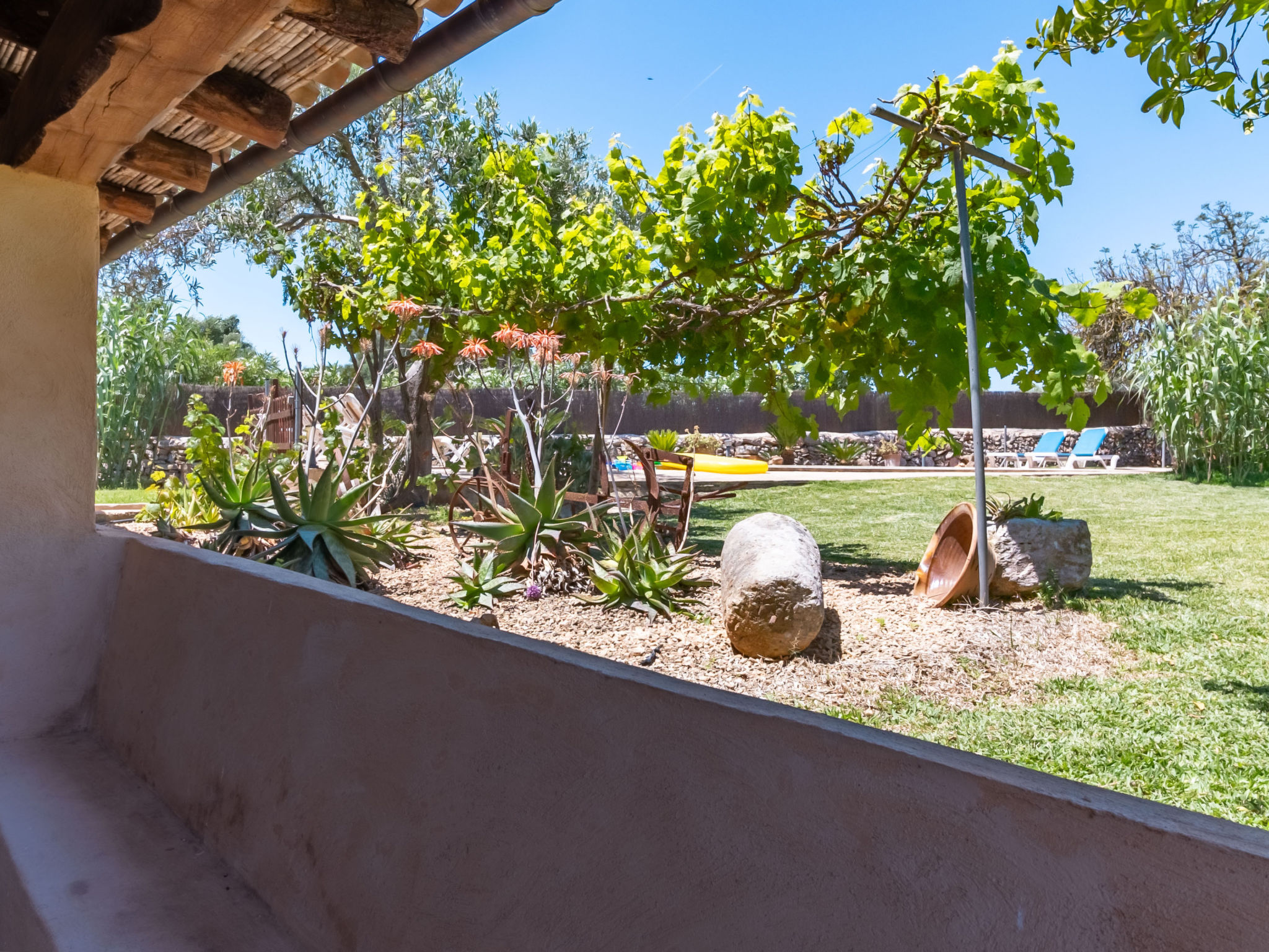 Finca Can Nin - Buiten