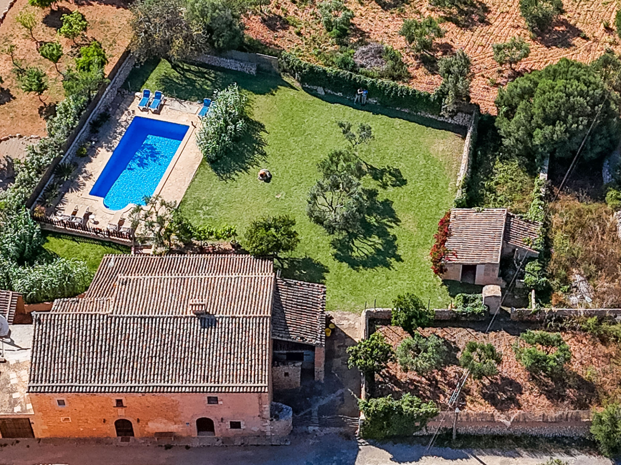 Finca Can Nin - Buiten