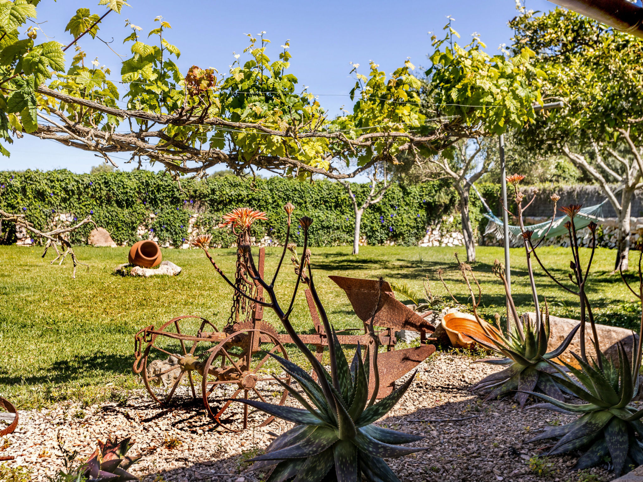 Finca Can Nin - Buiten