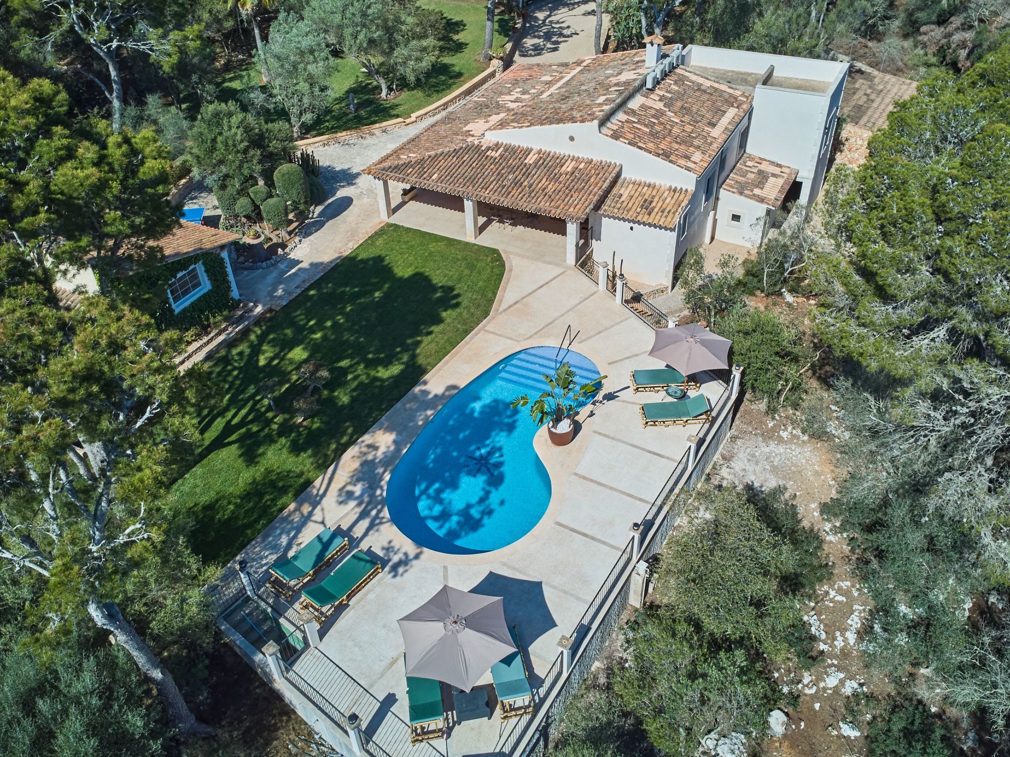 Rotes-Image-tags.info