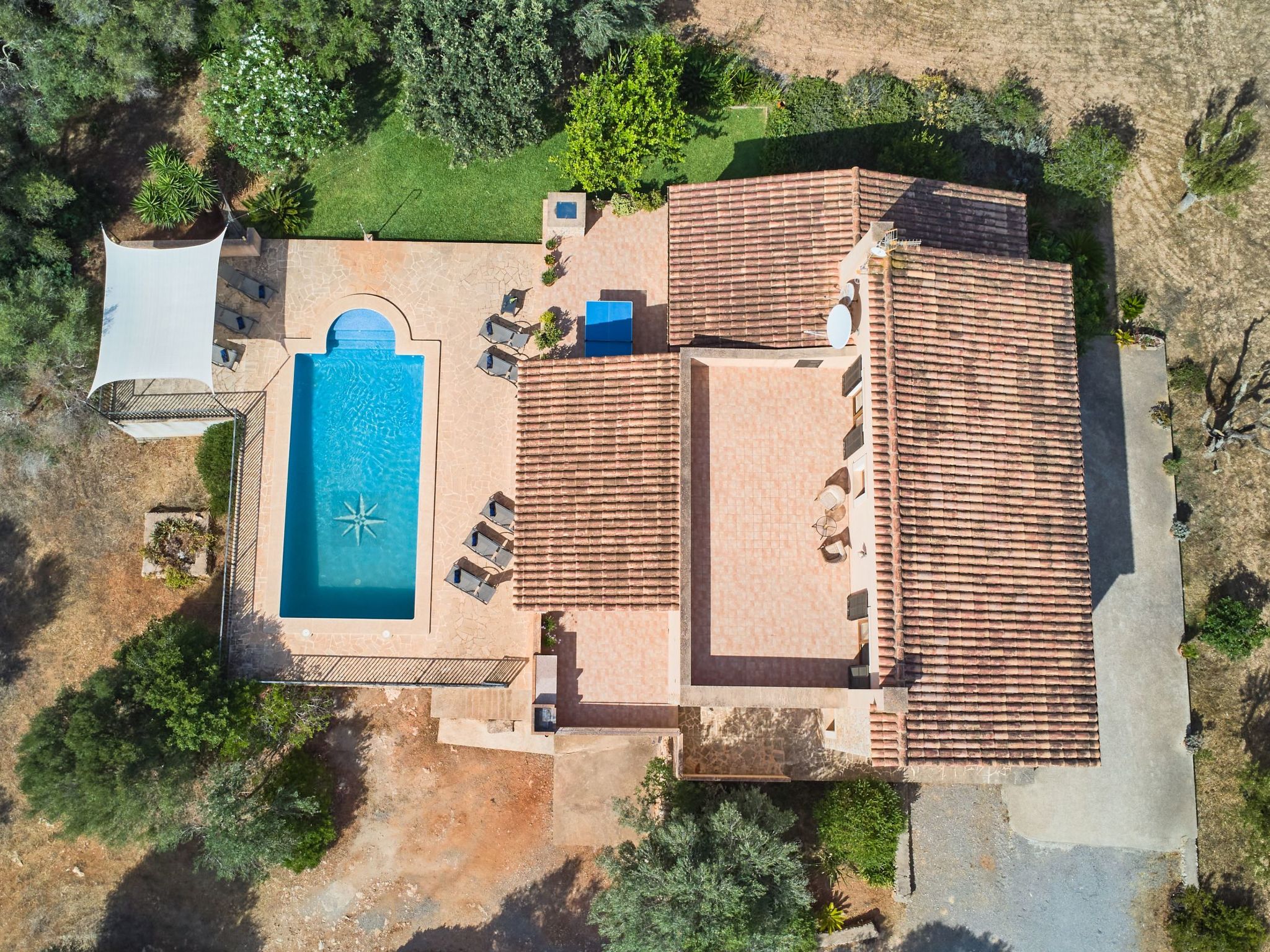 Rito Nou-Image-tags.info