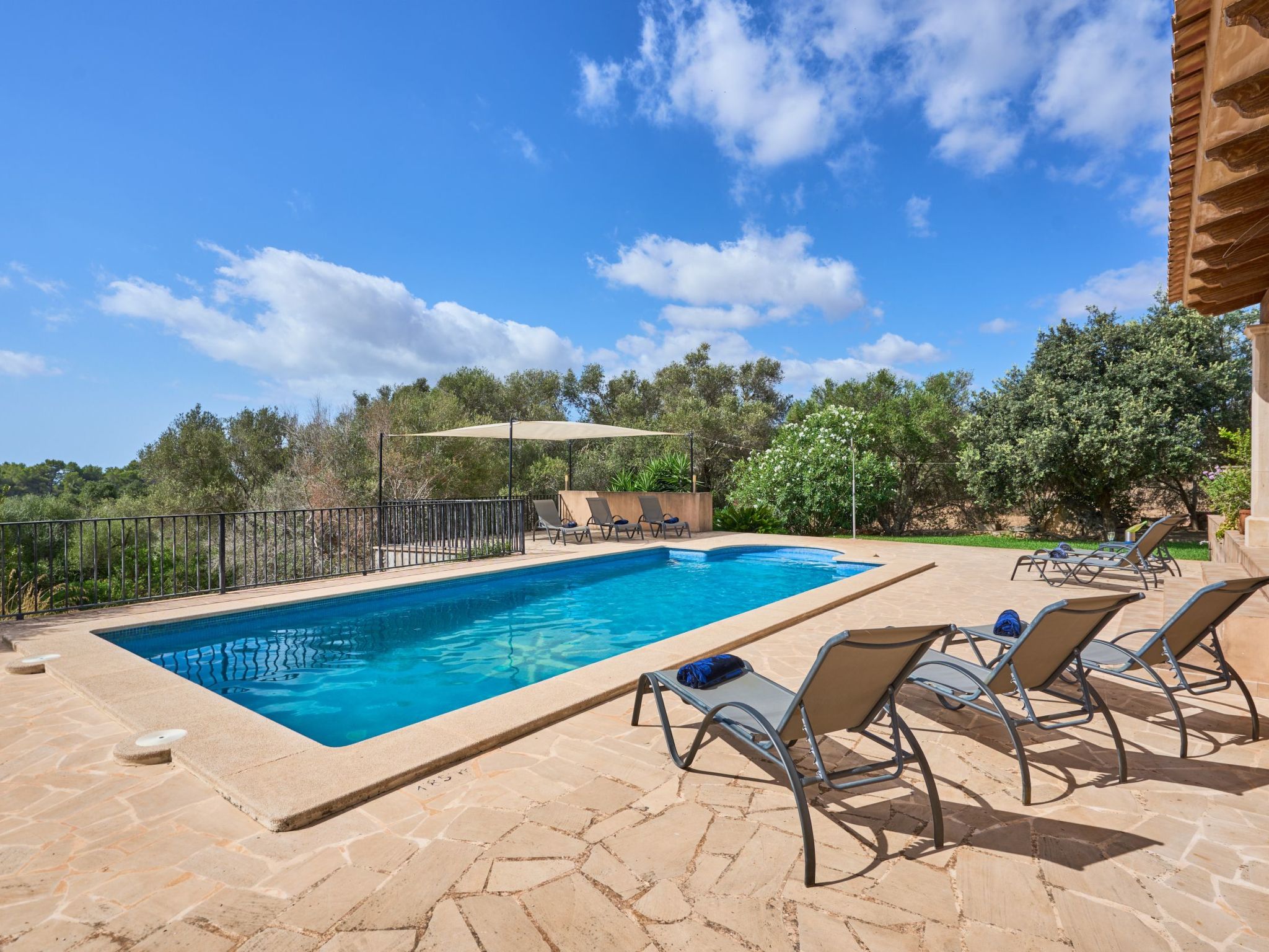 Rito Nou-Image-tags.info