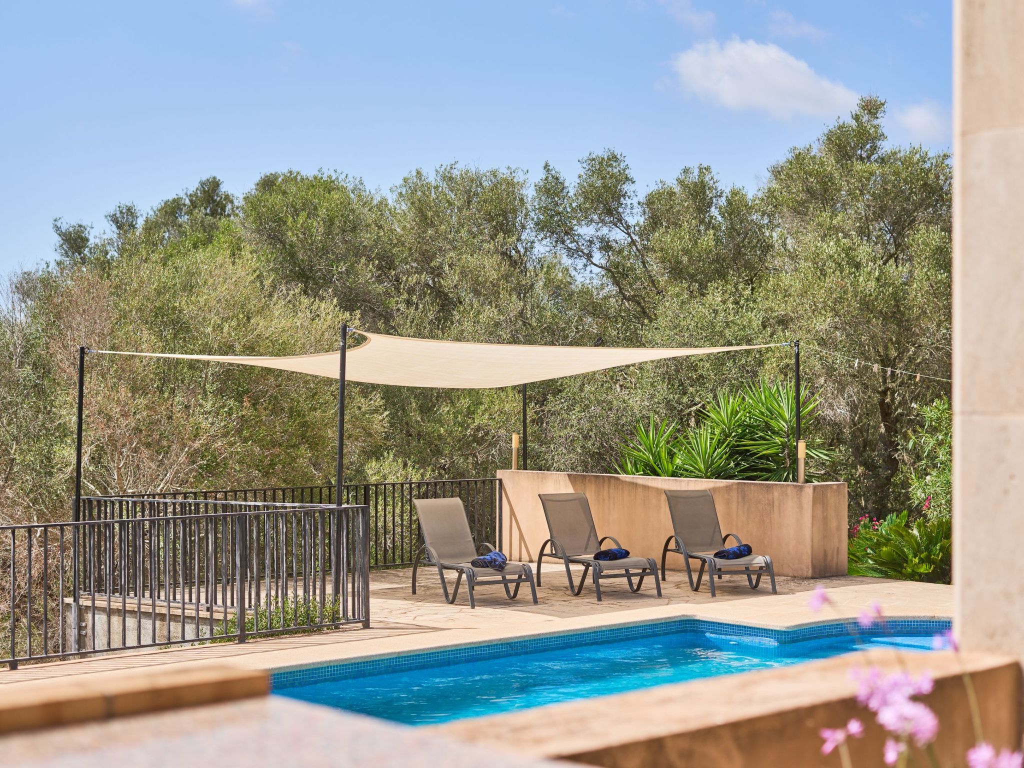 Rito Nou-Image-tags.info