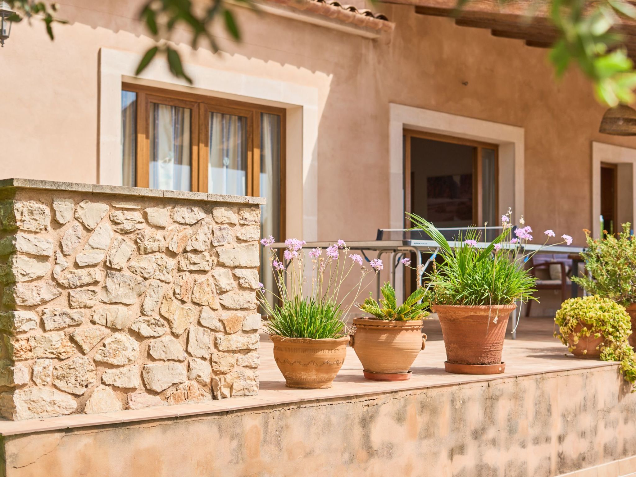 Rito Nou-Image-tags.info