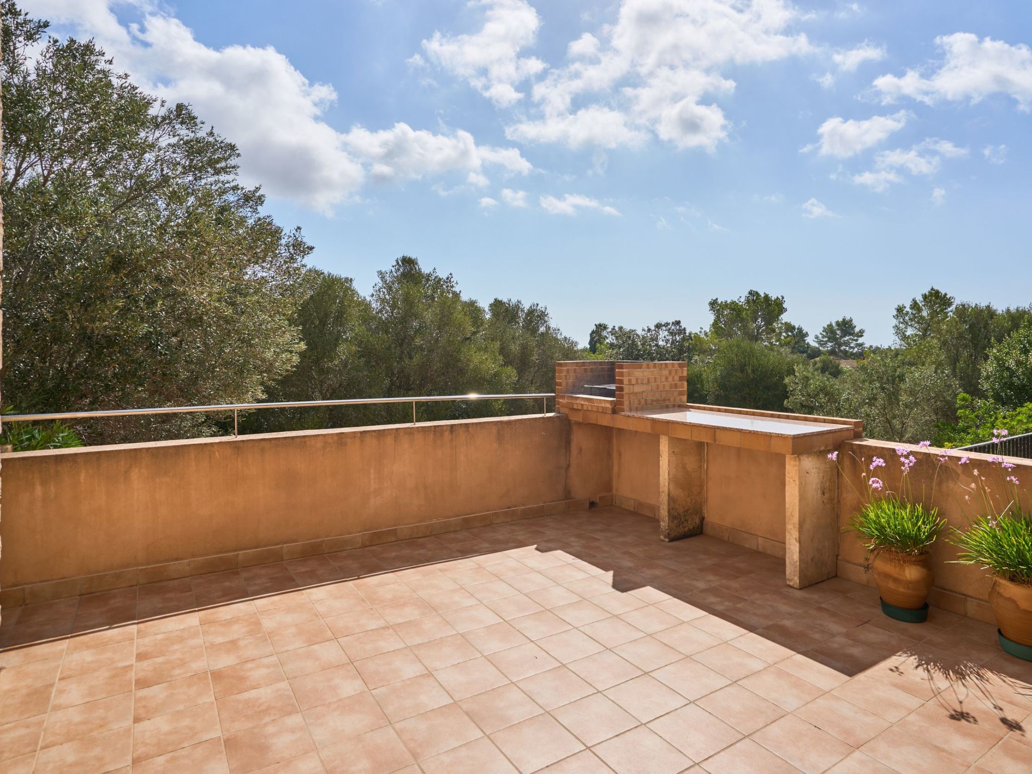 Rito Nou-Image-tags.info