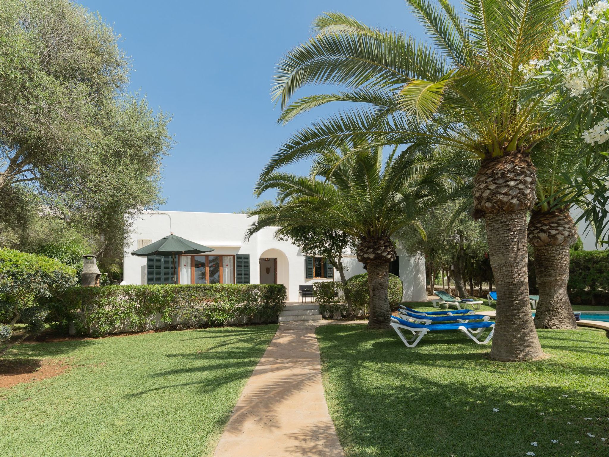 Dora-Image-tags.info