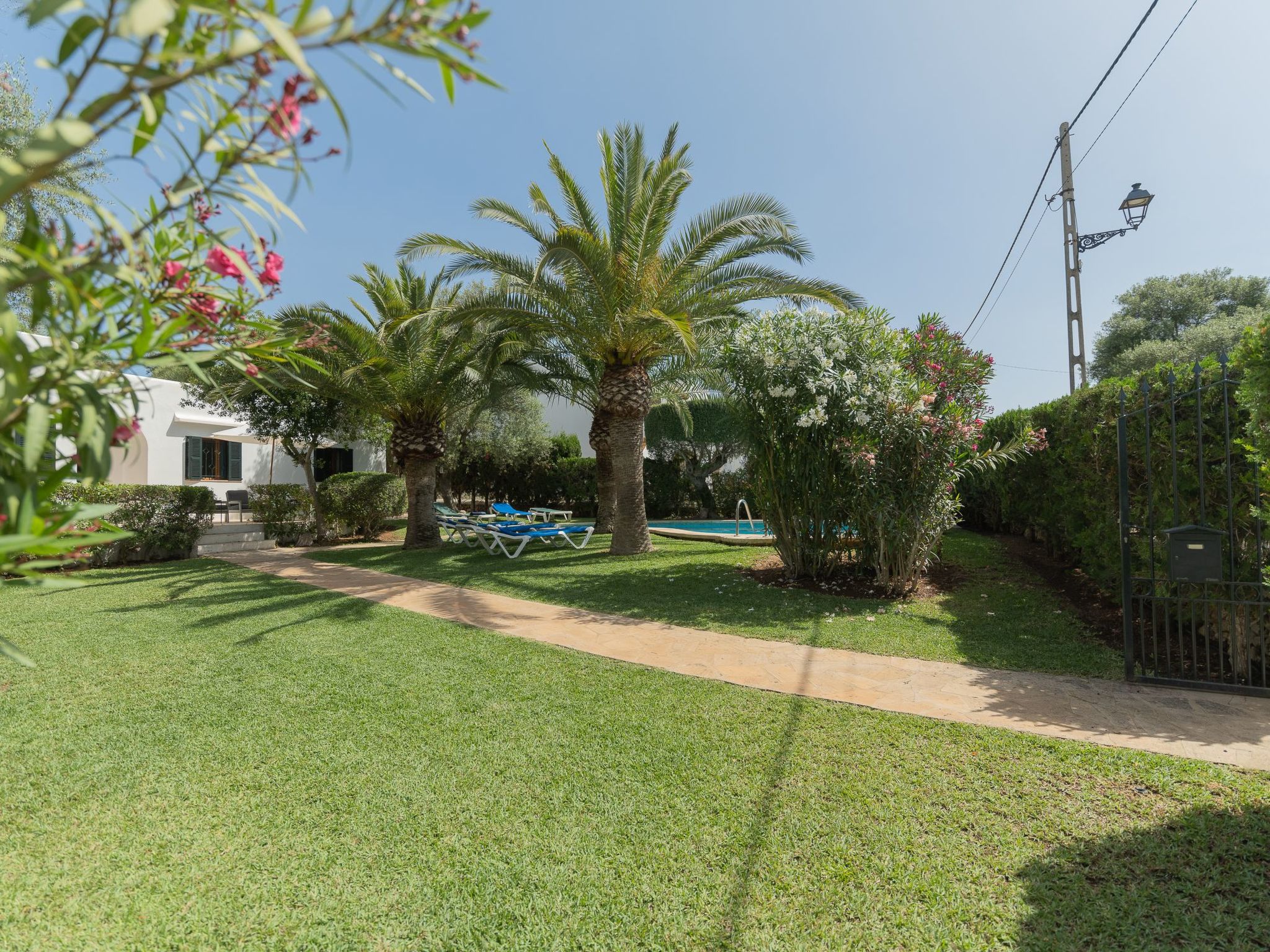 Dora-Image-tags.info