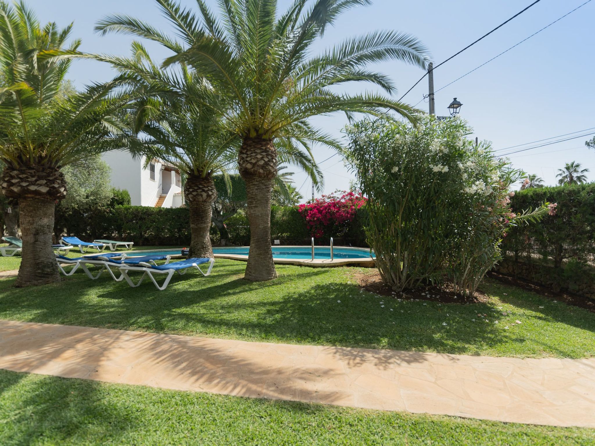 Dora-Image-tags.info