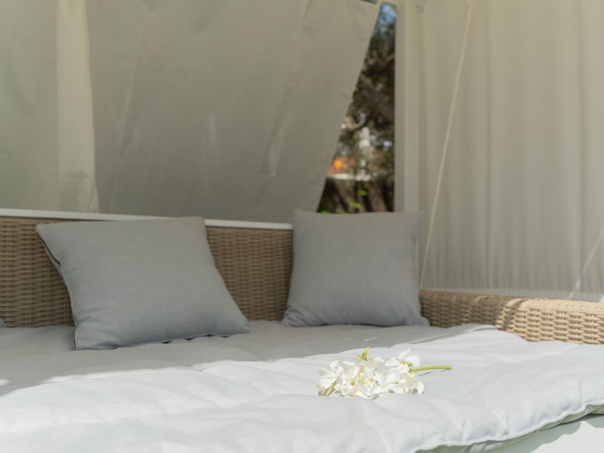 Dora-Image-tags.info