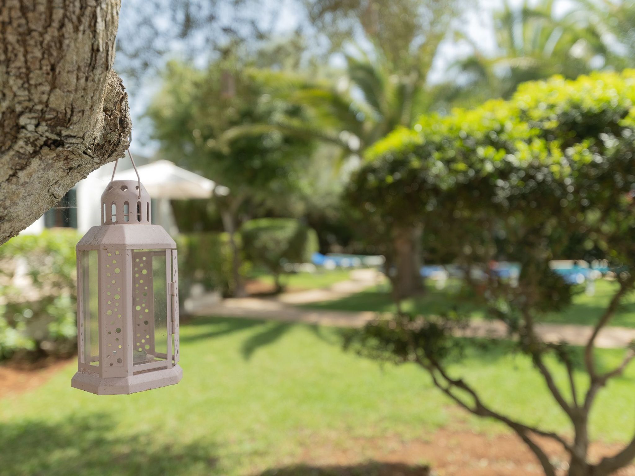 Dora-Image-tags.info