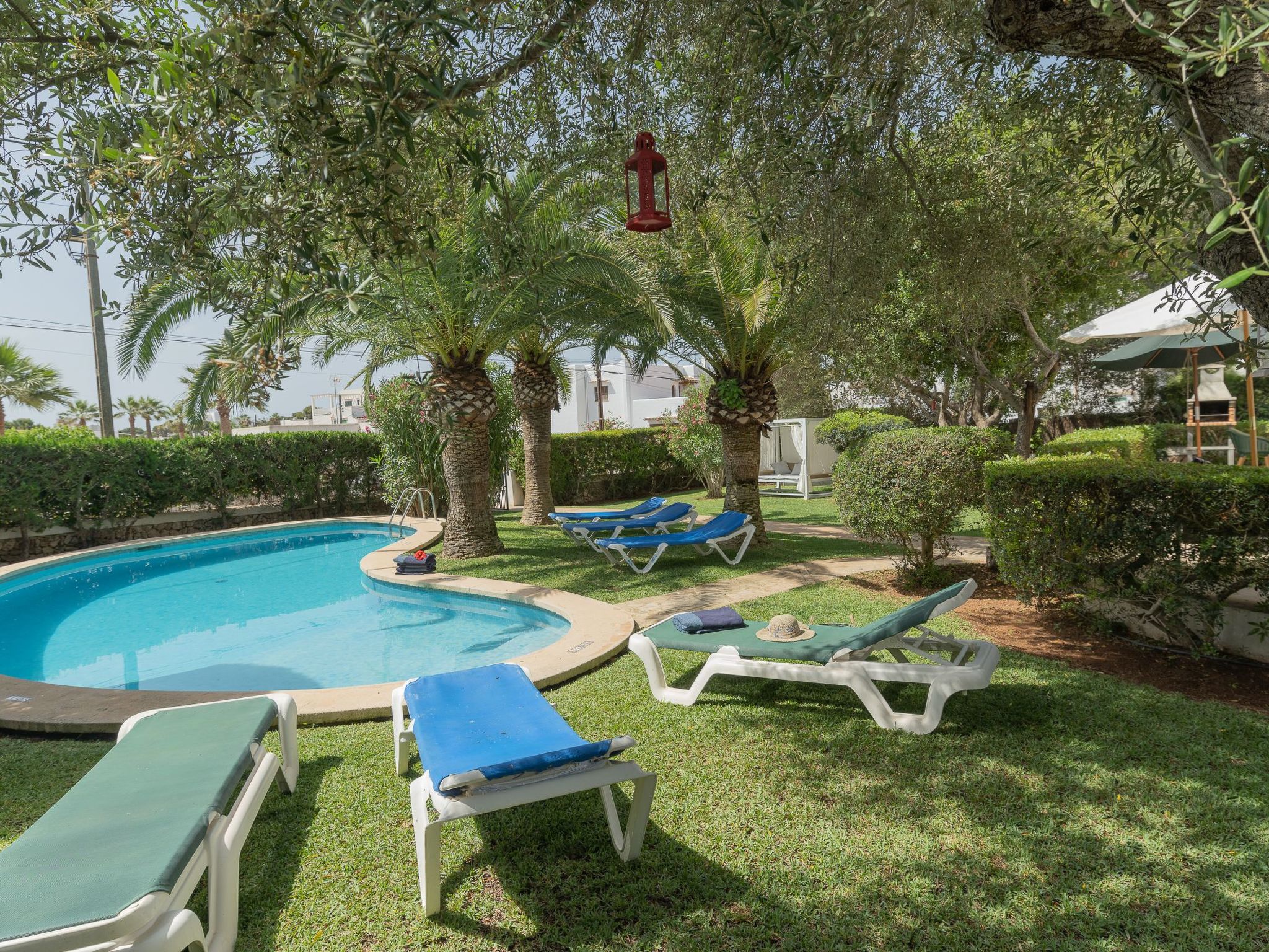 Dora-Image-tags.info