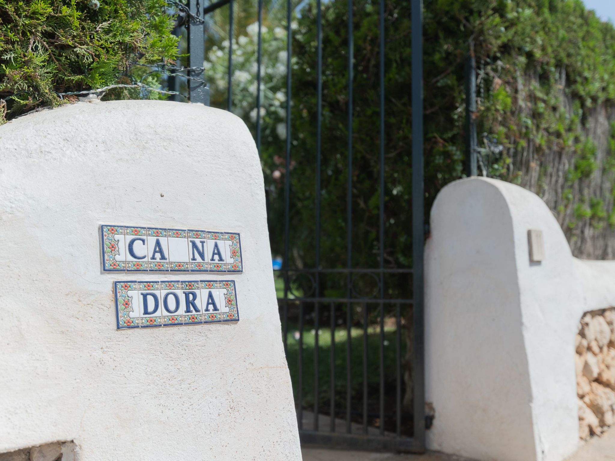 Dora-Image-tags.info