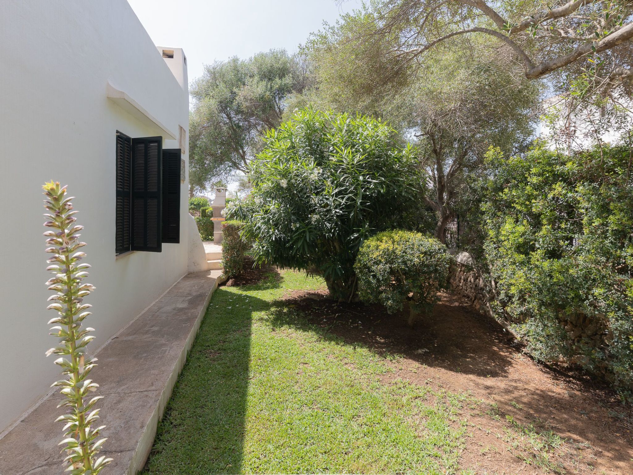 Dora-Image-tags.info