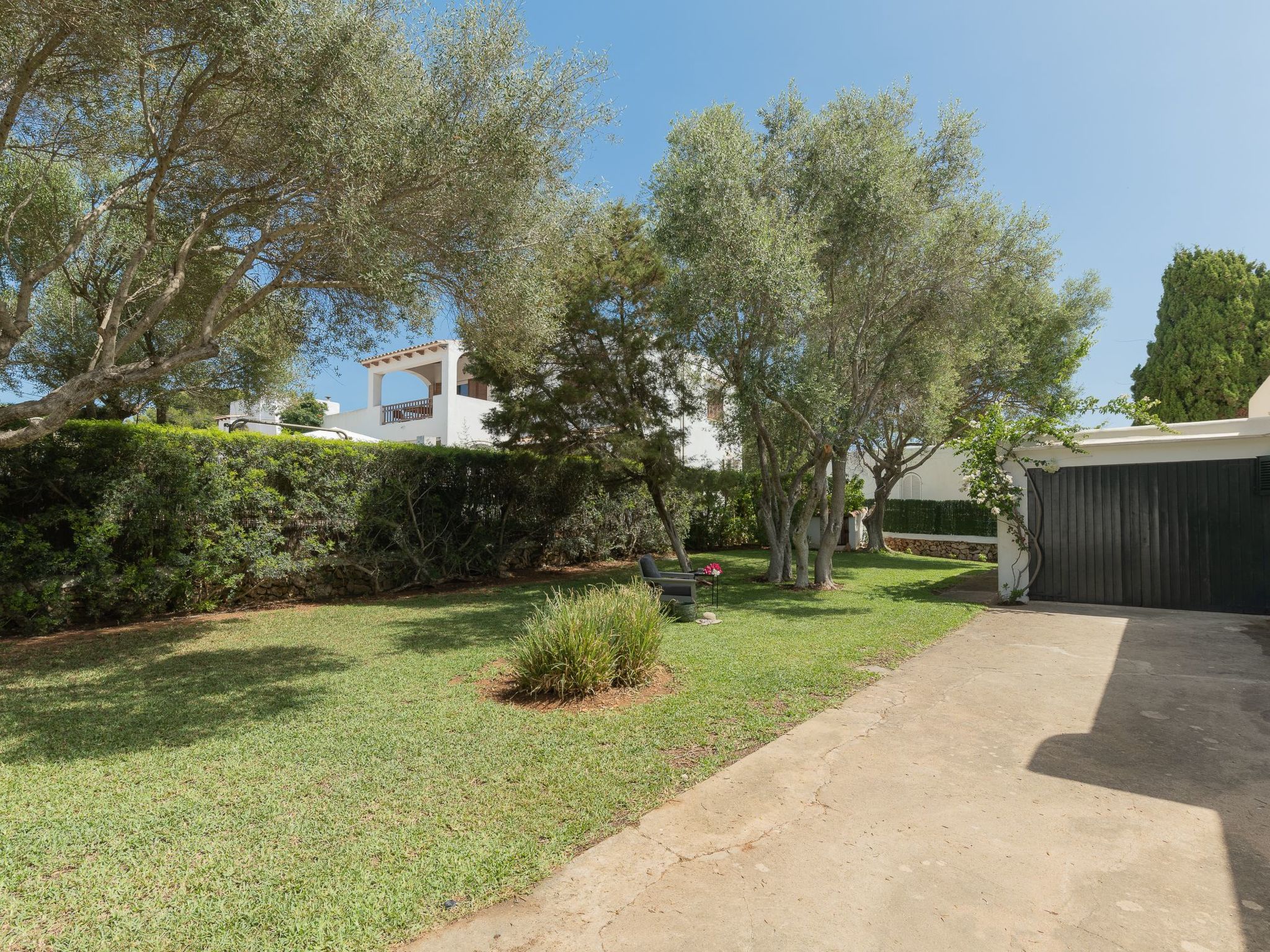 Dora-Image-tags.info