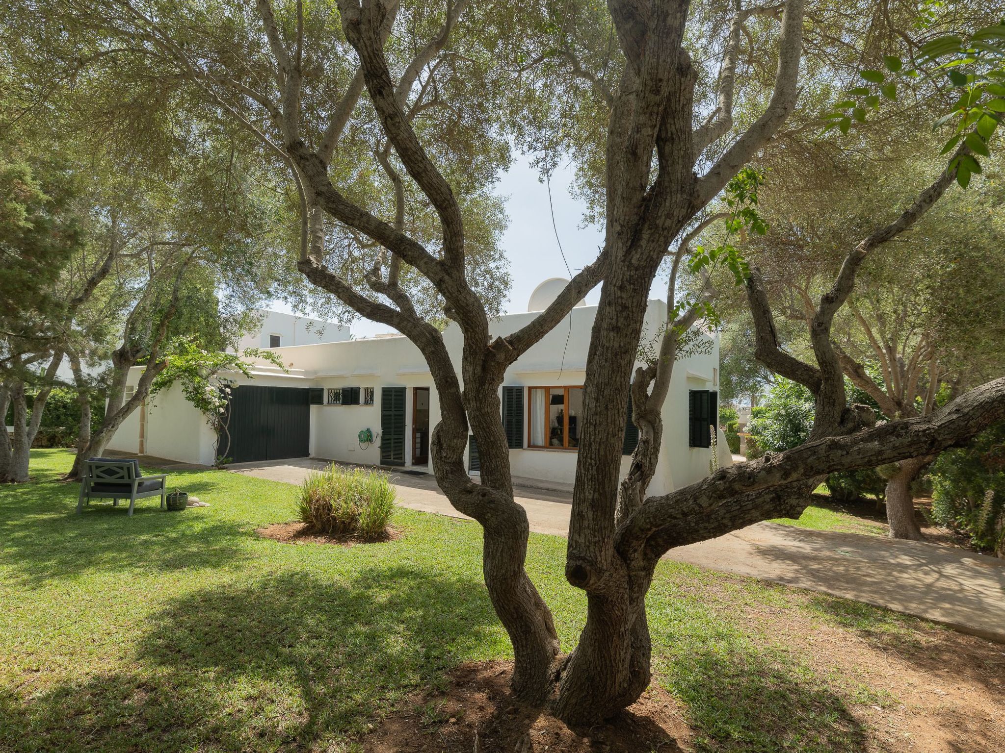 Dora-Image-tags.info