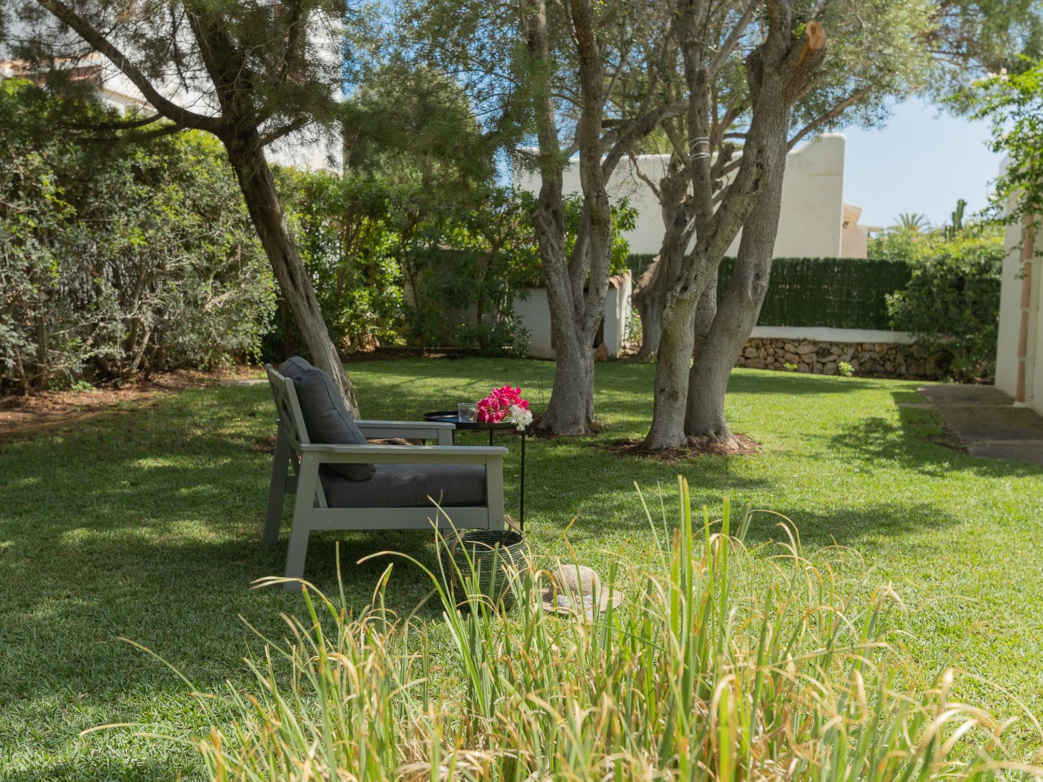 Dora-Image-tags.info