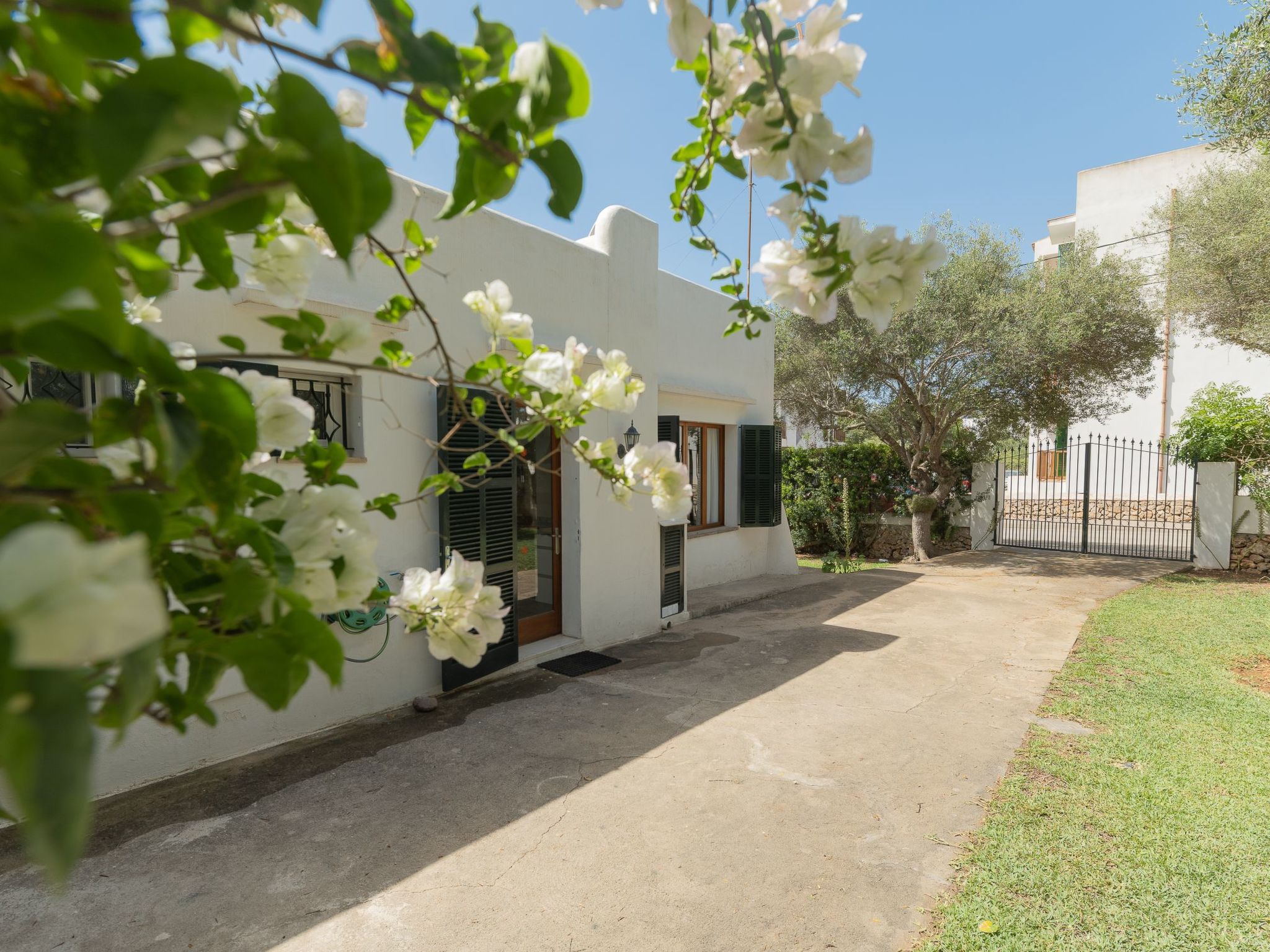 Dora-Image-tags.info