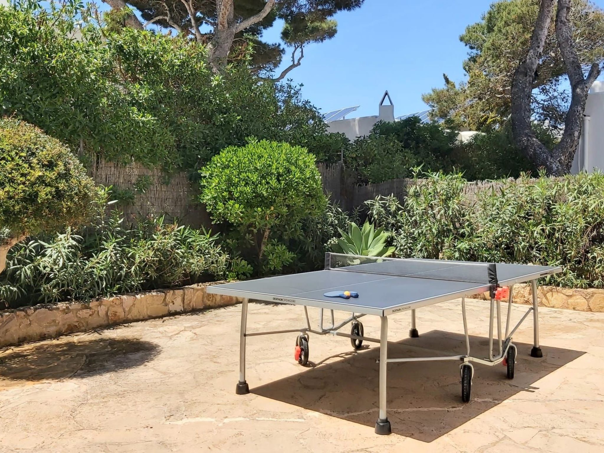 Delfin-Image-tags.info