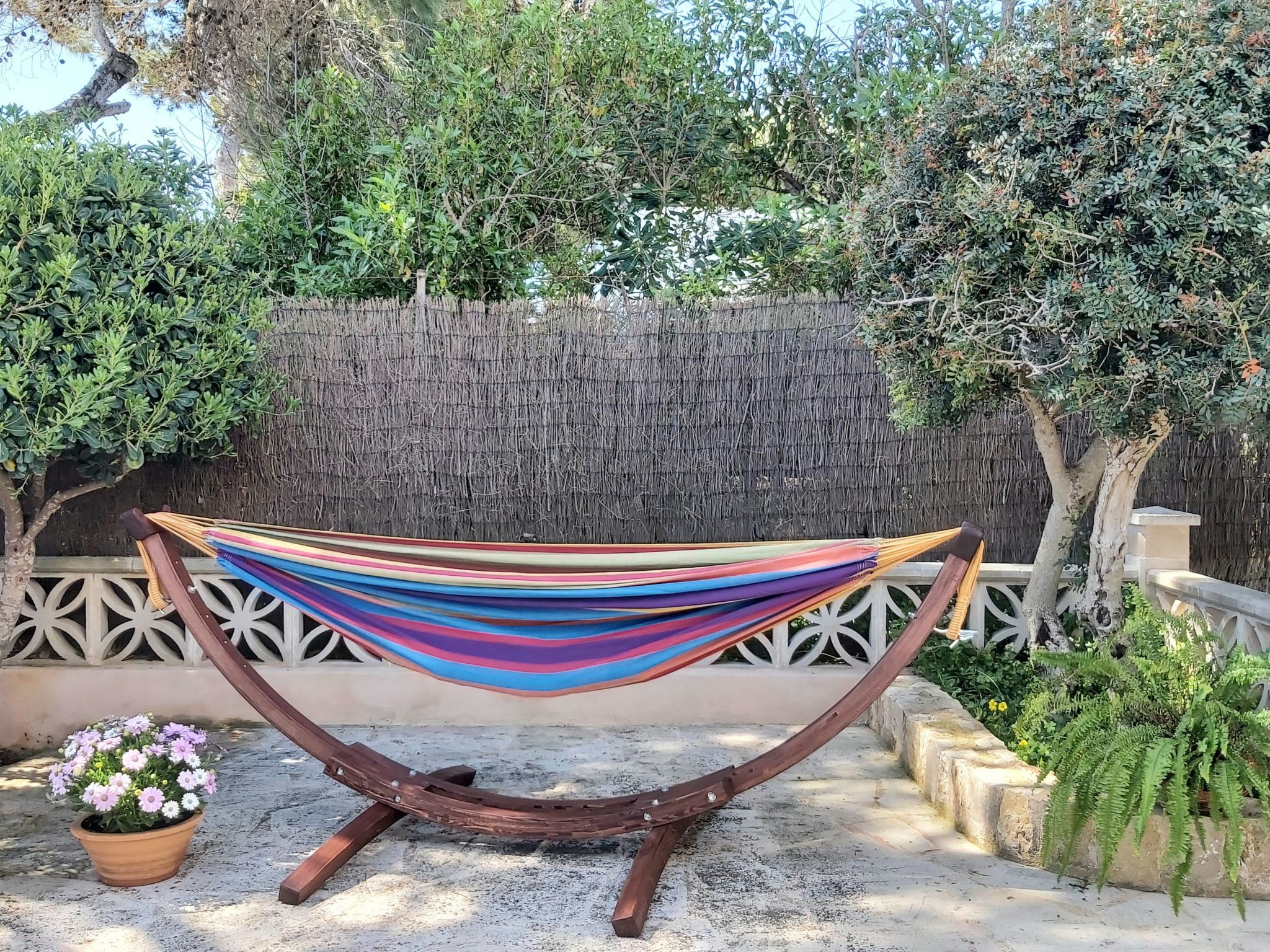 Delfin-Image-tags.info