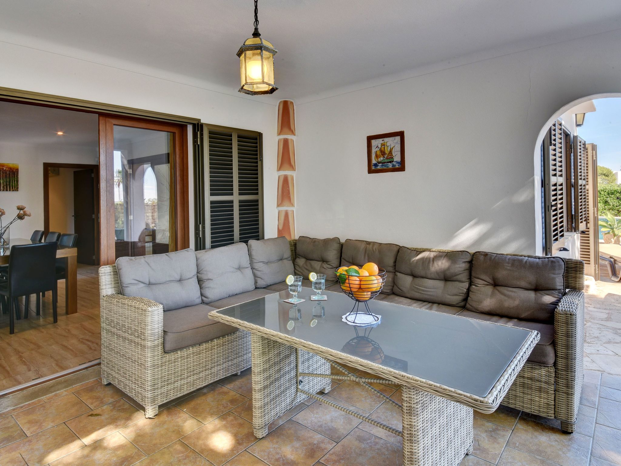 Delfin-Image-tags.info