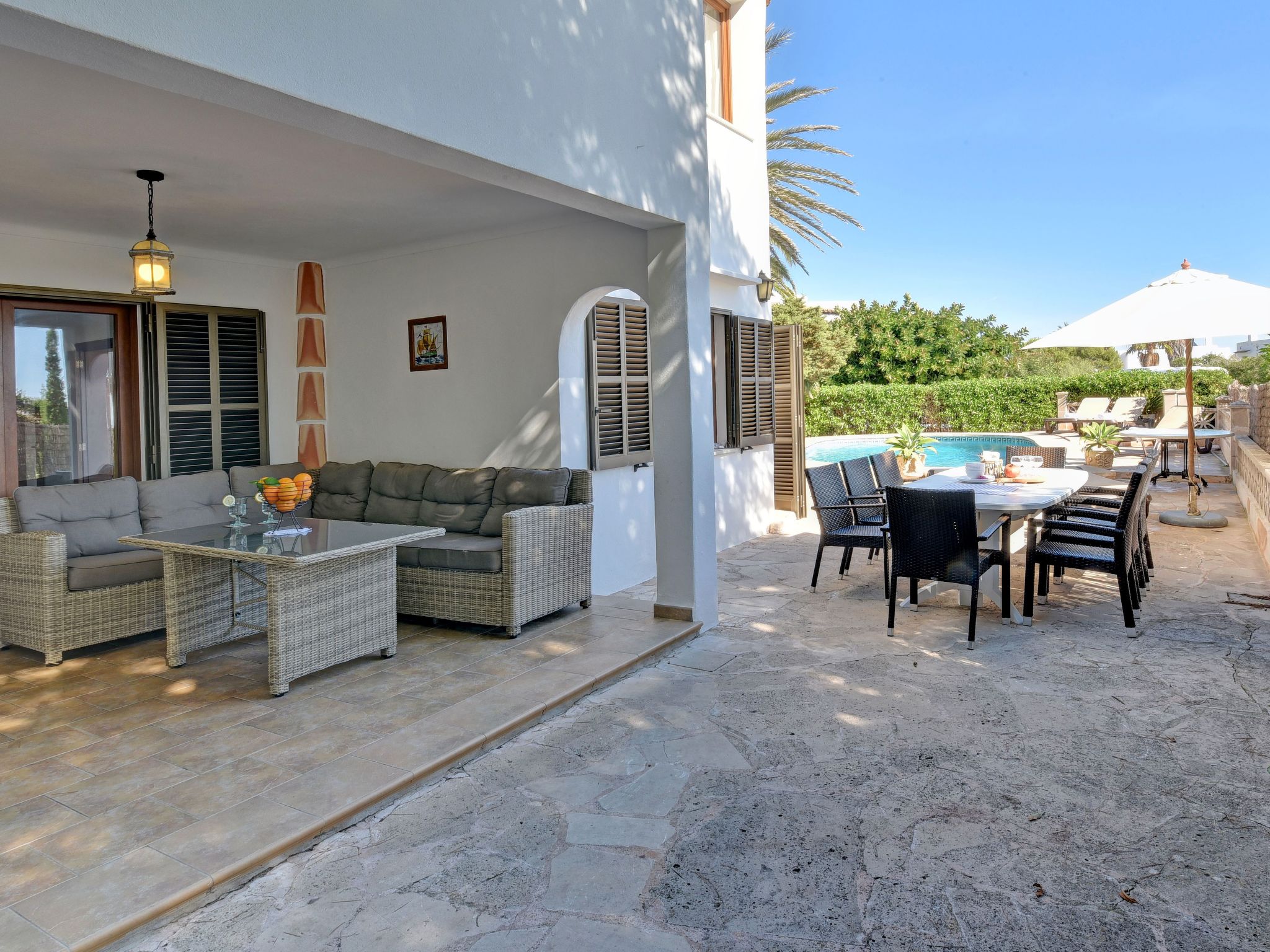 Delfin-Image-tags.info