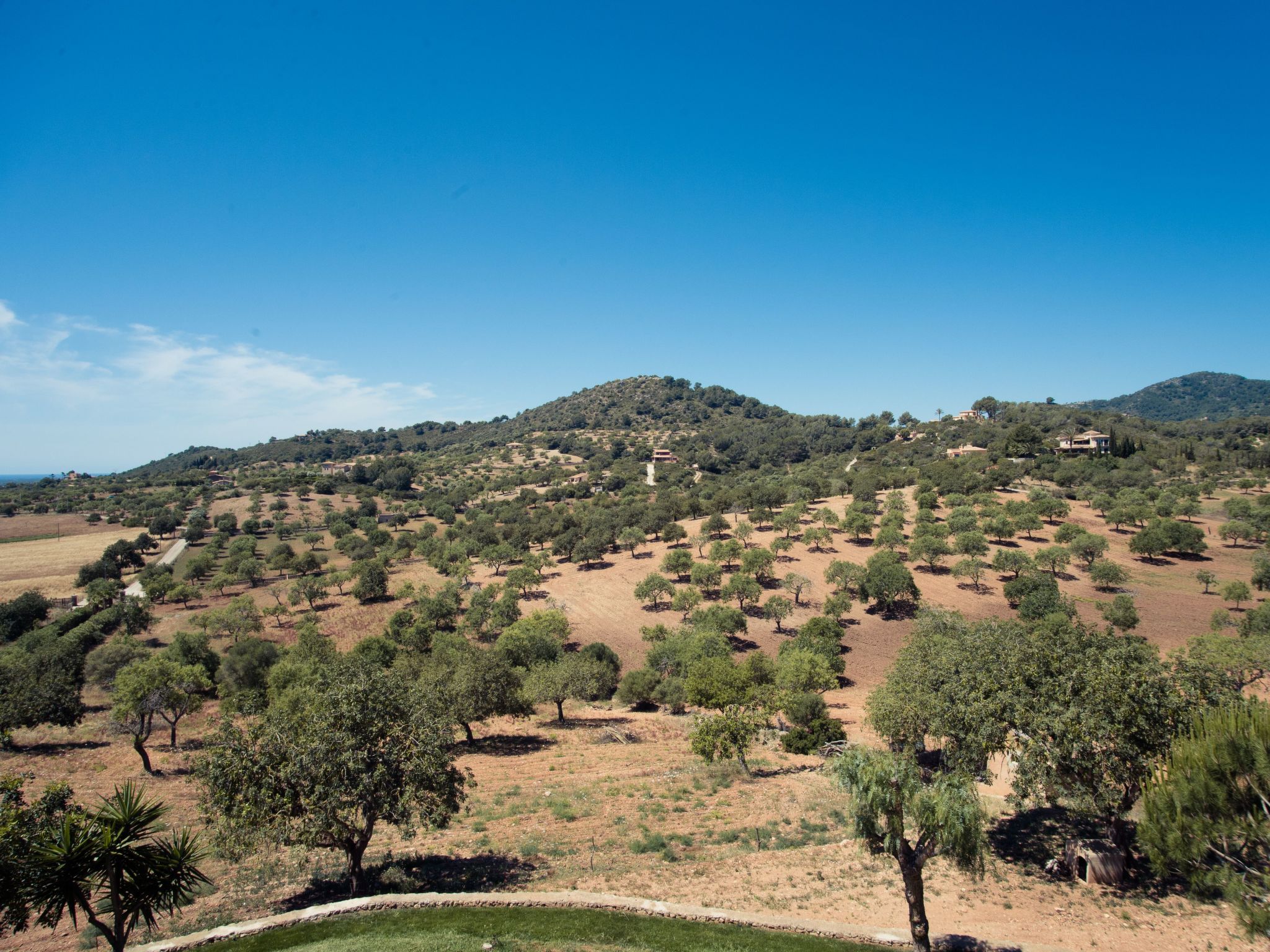 Turo Golf-Image-tags.info