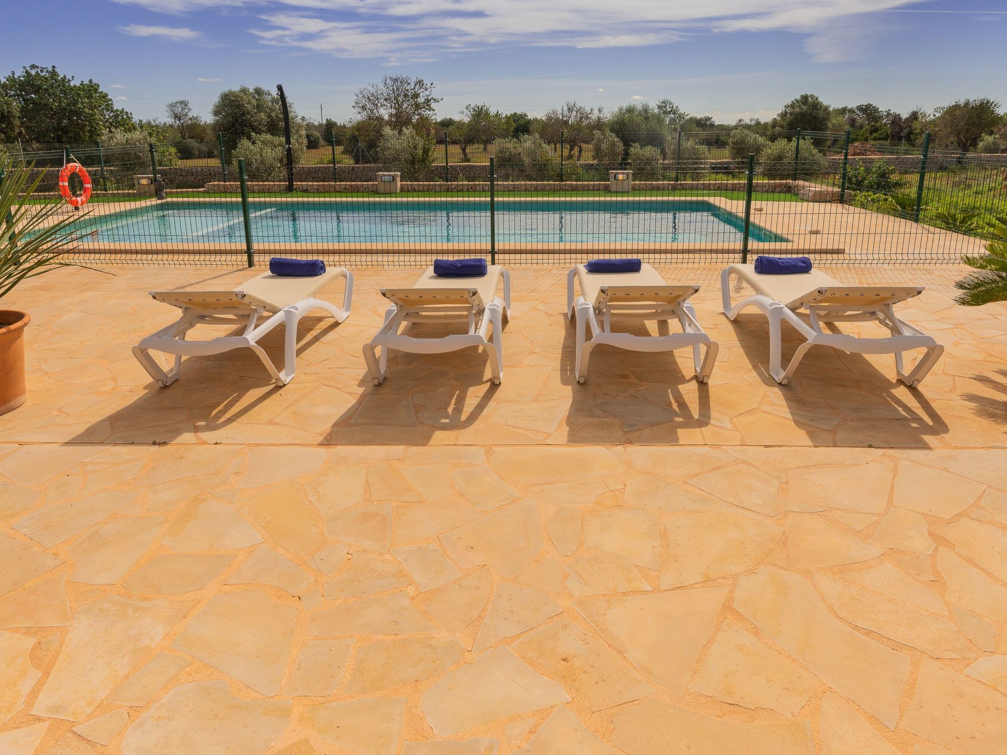 Bassa-Image-tags.info