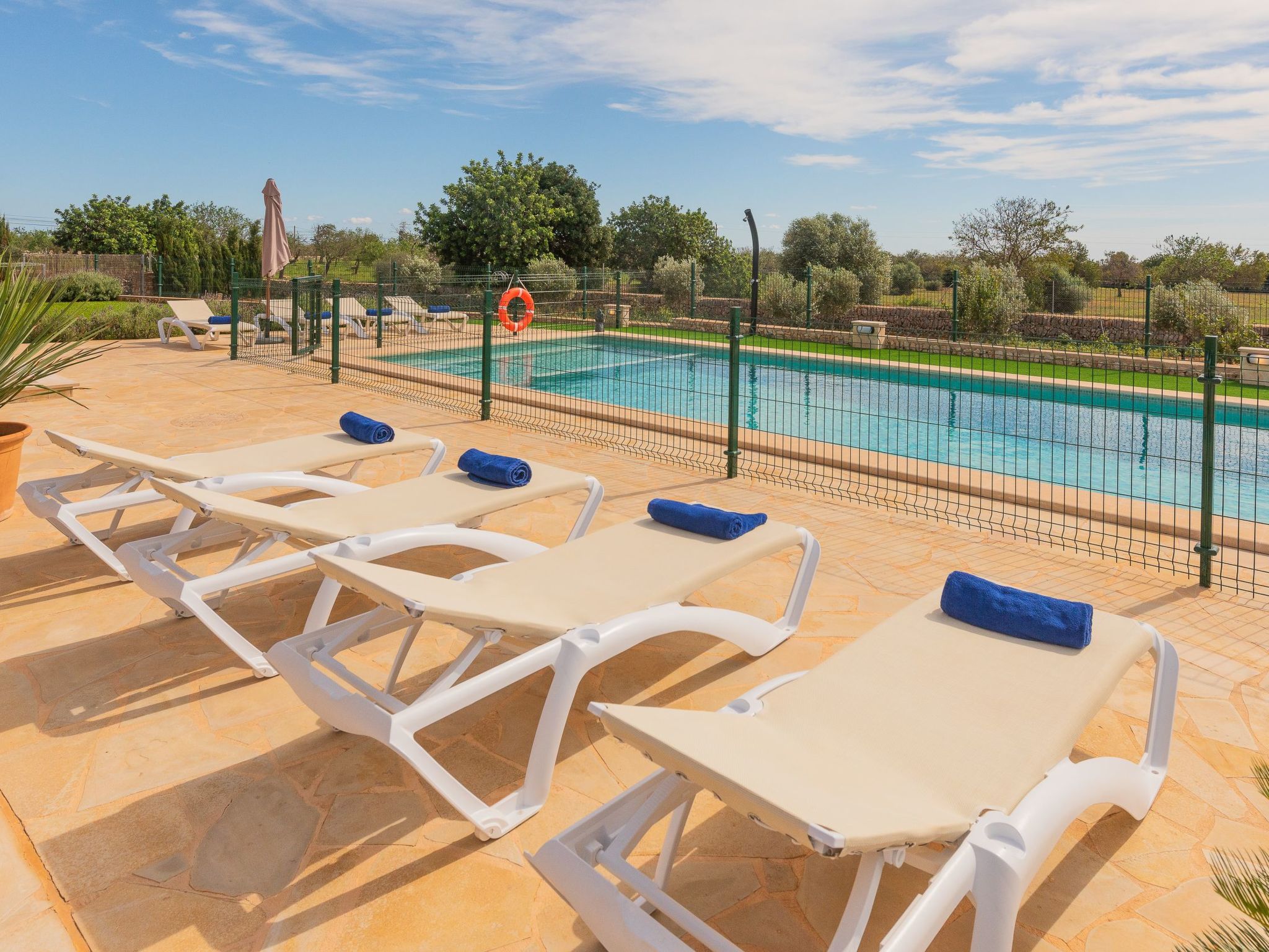 Bassa-Image-tags.info