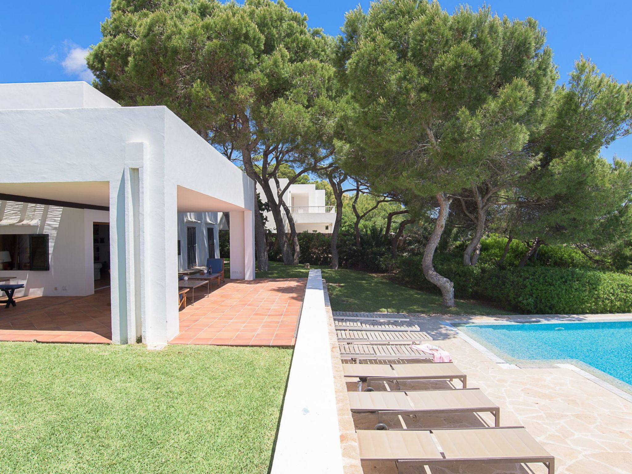 Marcial-Image-tags.info