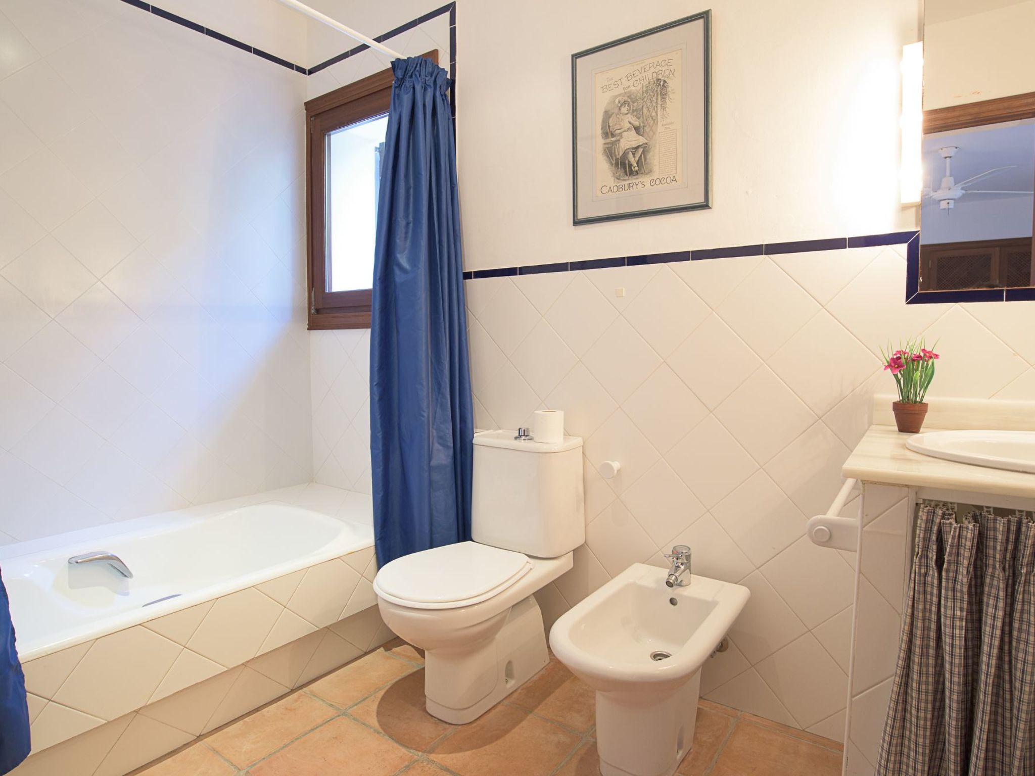 Marcial-Image-tags.info