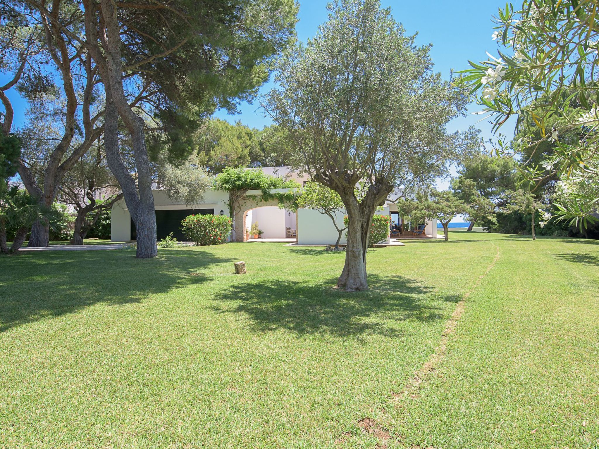 Marcial-Image-tags.info