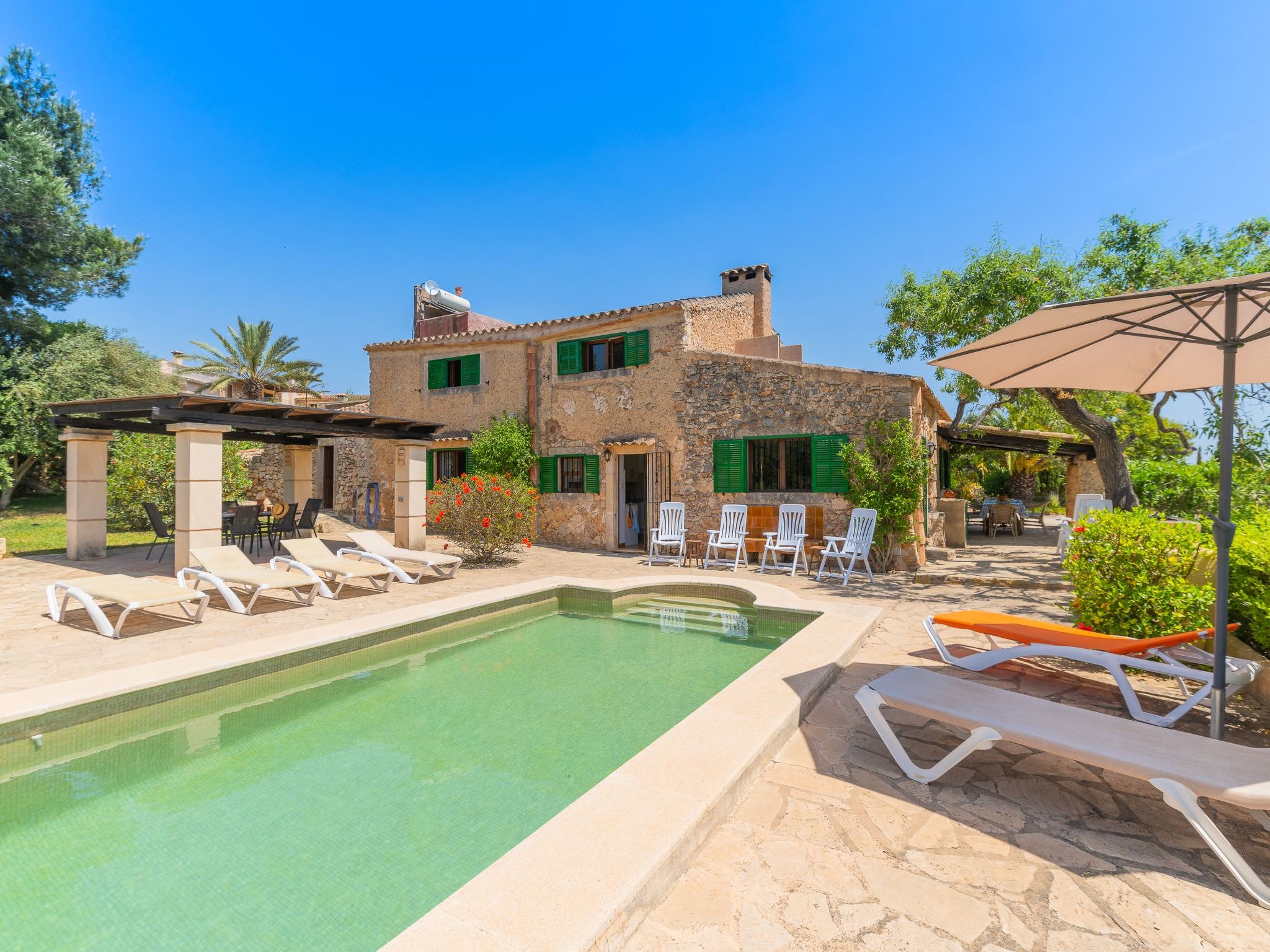 Palleta-Image-tags.info