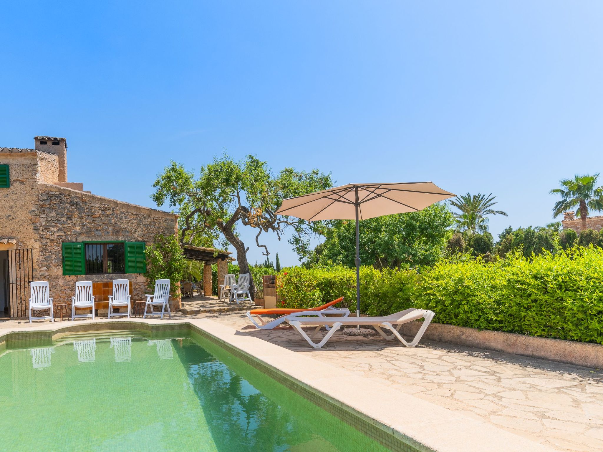 Palleta-Image-tags.info