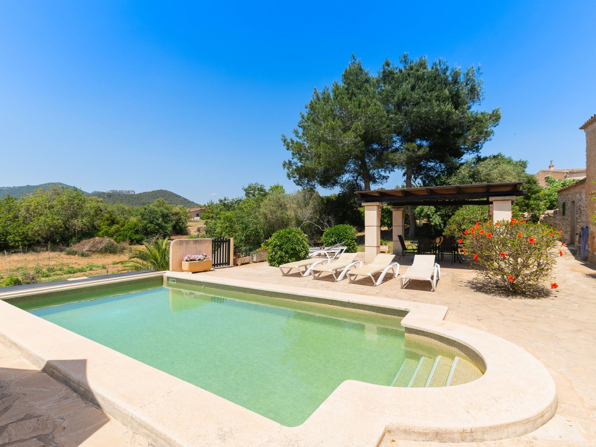 Palleta-Image-tags.info