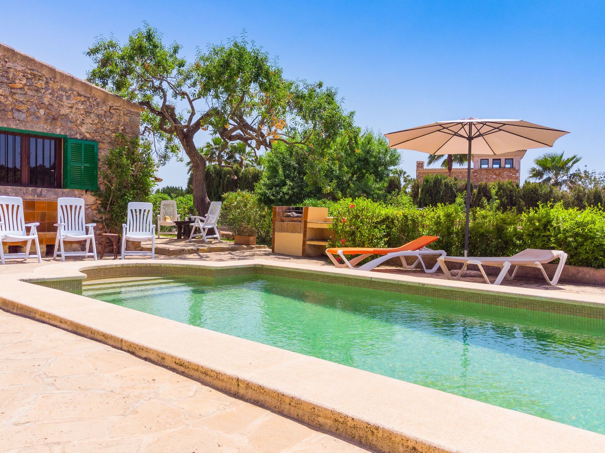 Palleta-Image-tags.info