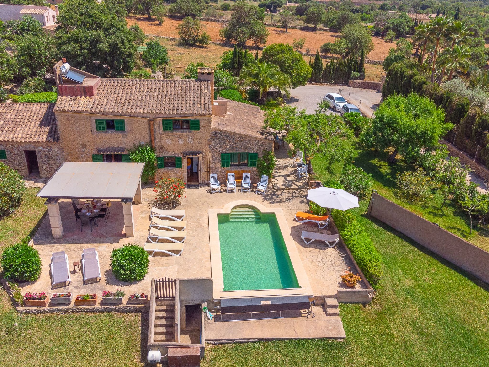 Palleta-Image-tags.info