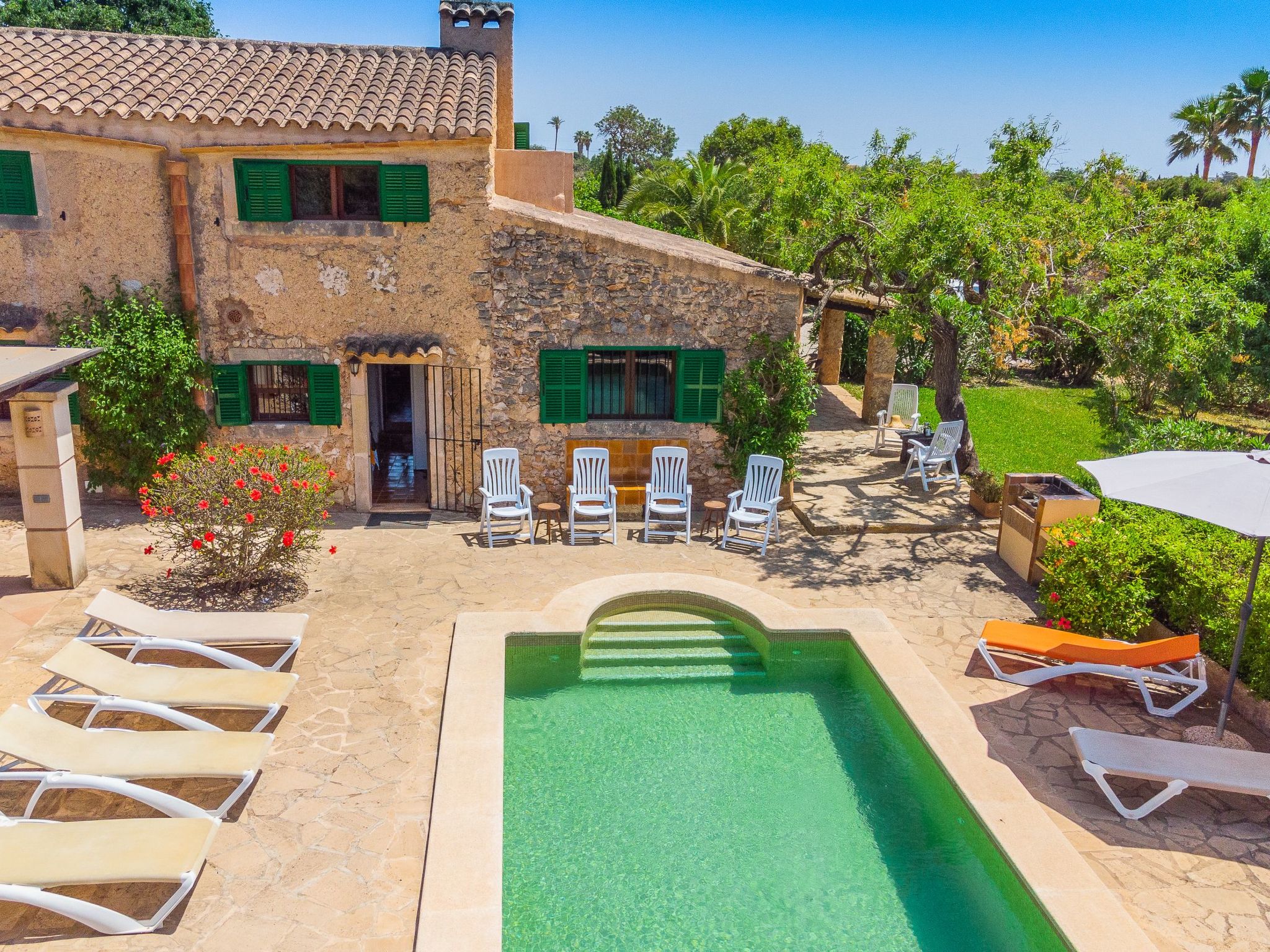 Palleta-Image-tags.info