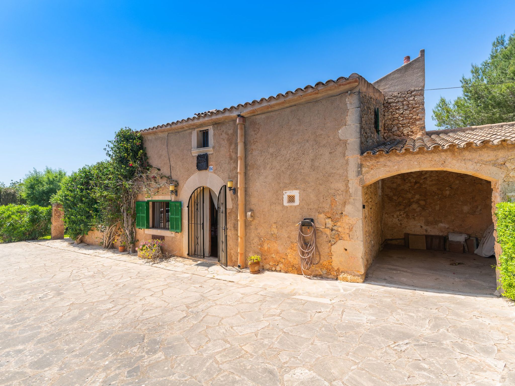 Palleta-Image-tags.info