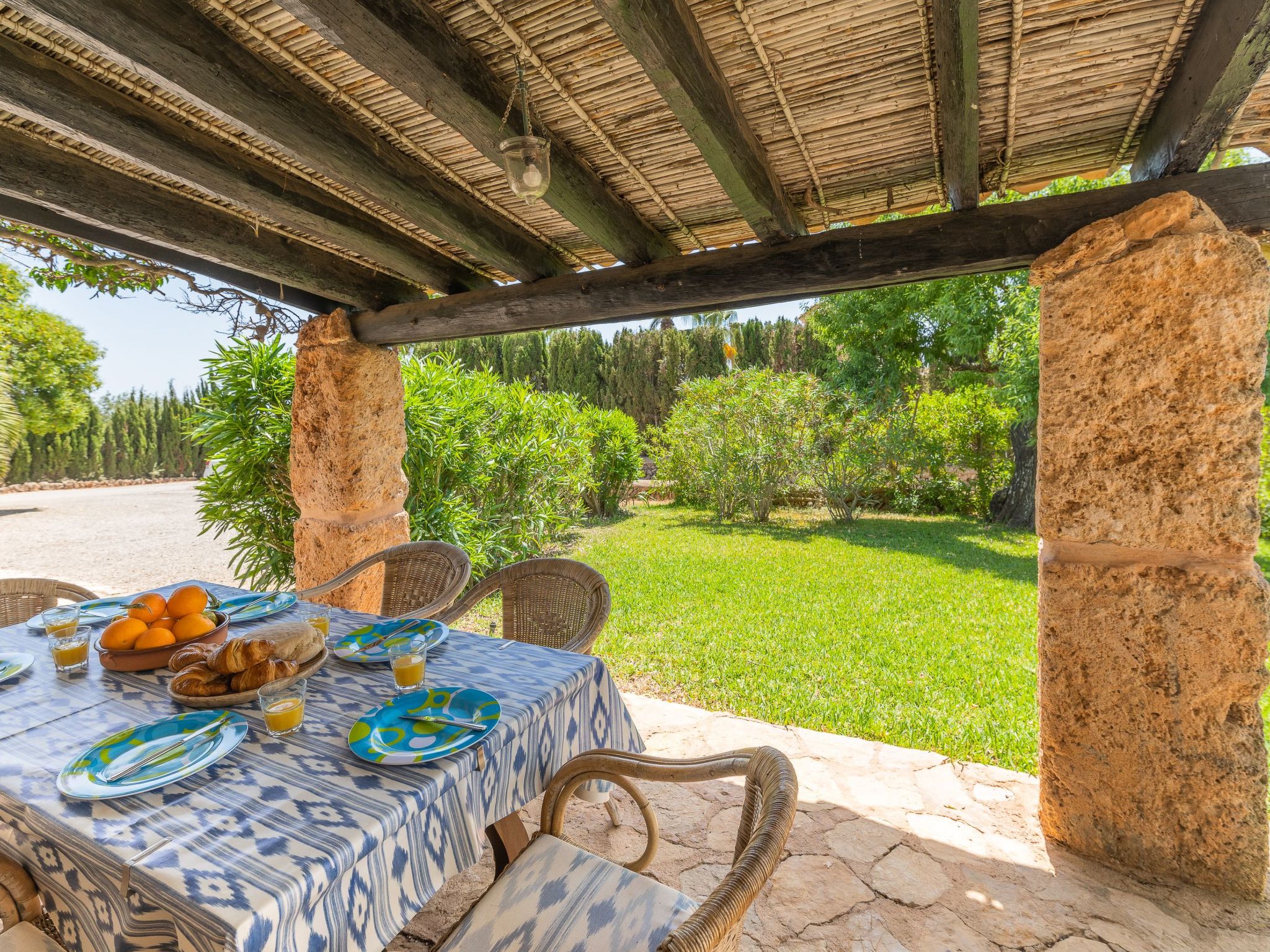 Palleta-Image-tags.info