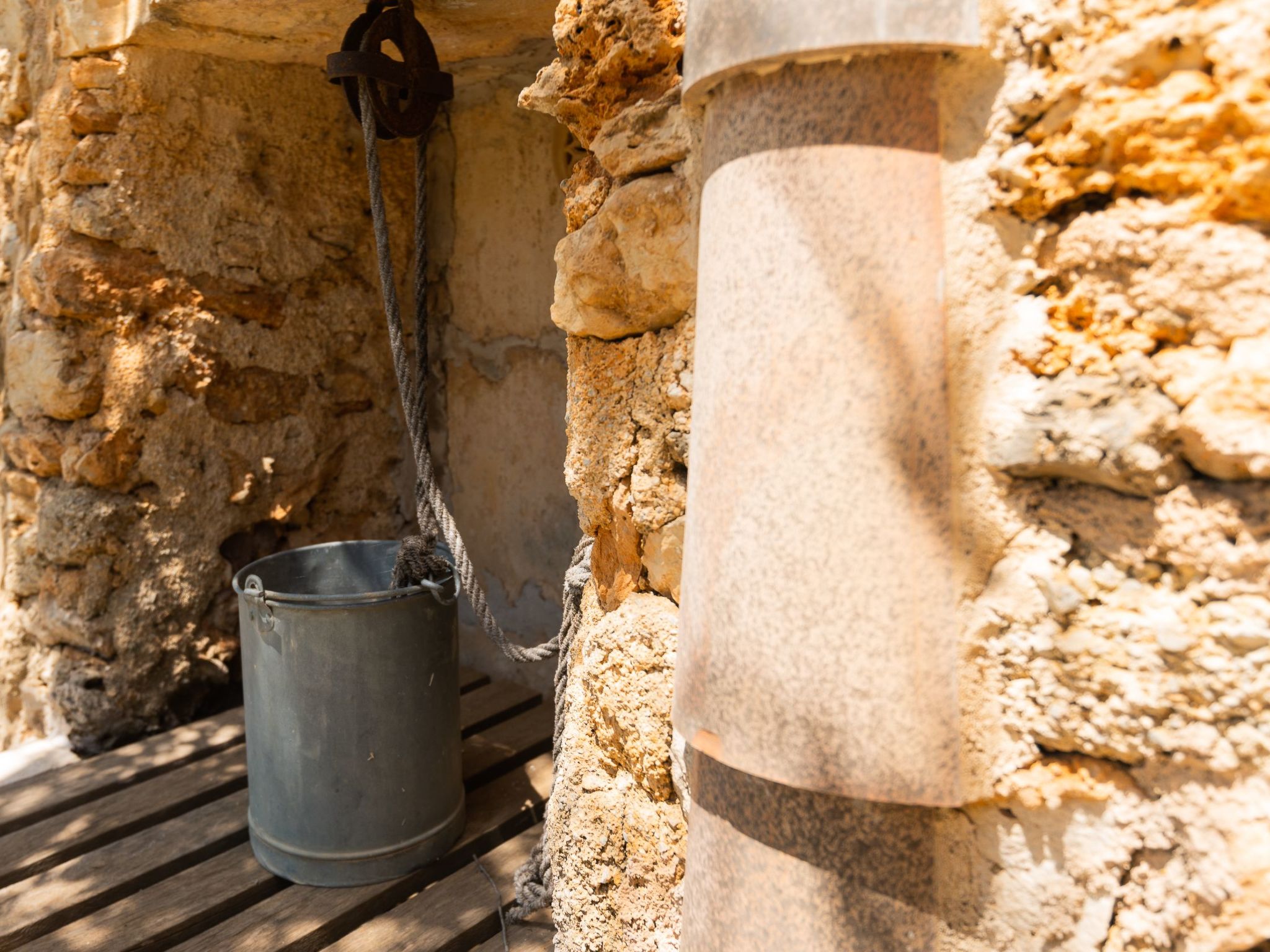 Palleta-Image-tags.info