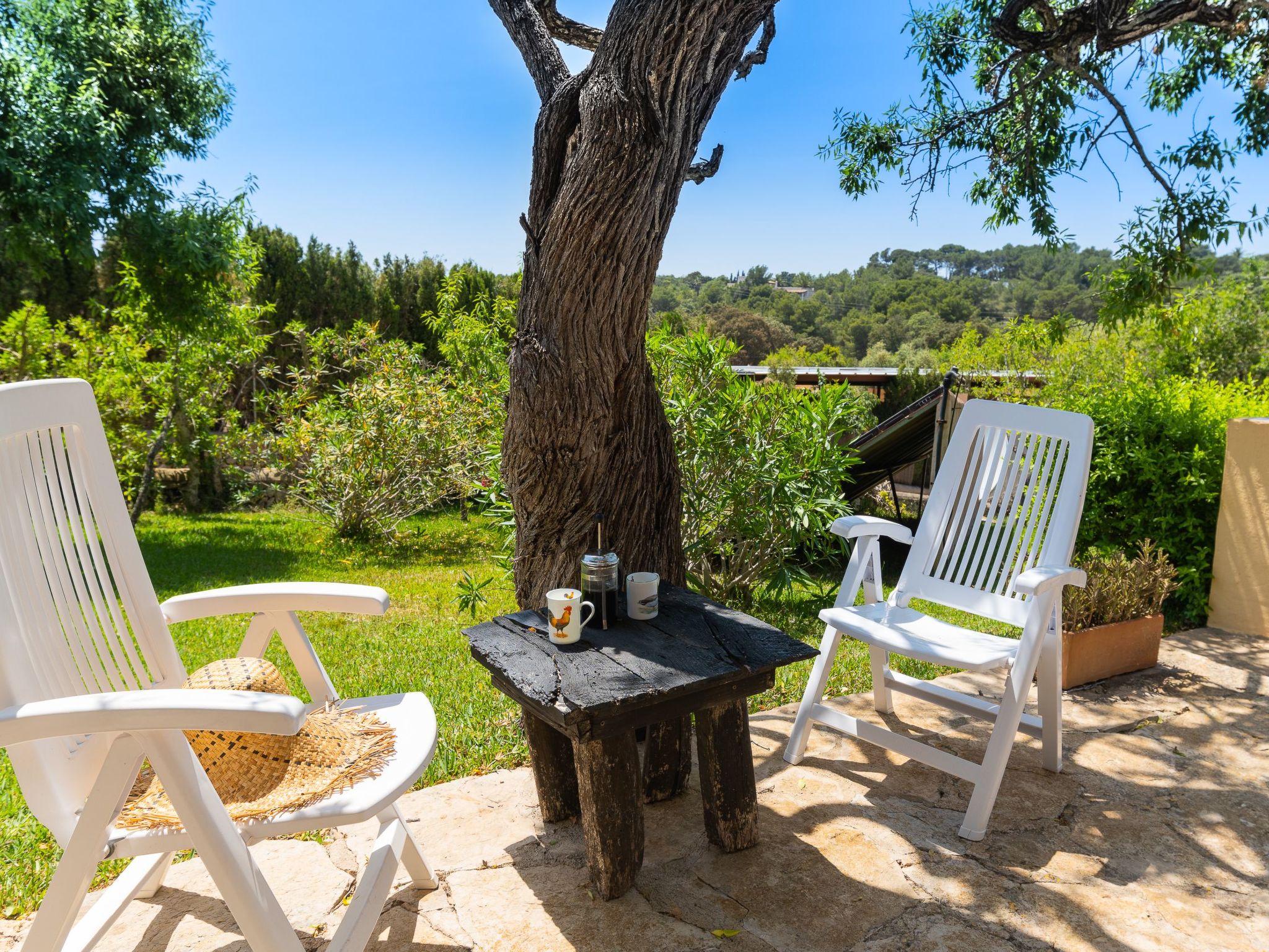 Palleta-Image-tags.info